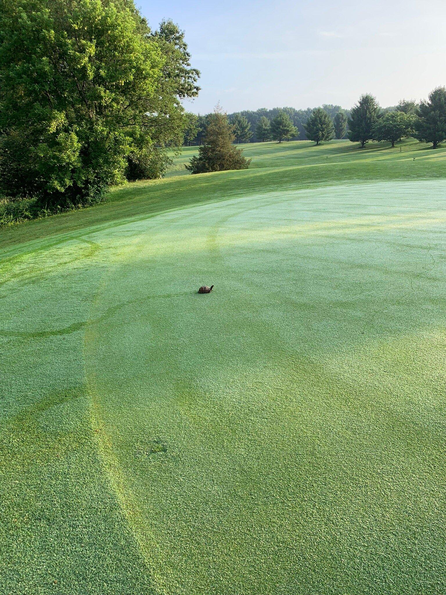 Hickory Ridge Golf Course & Driving Range