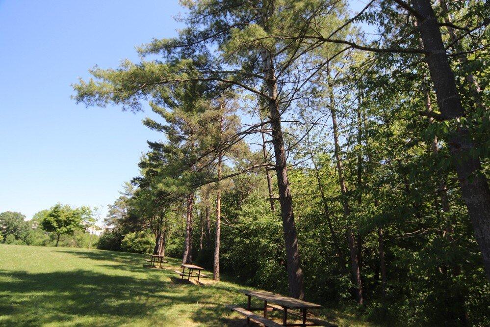 Burgoyne Woods Park