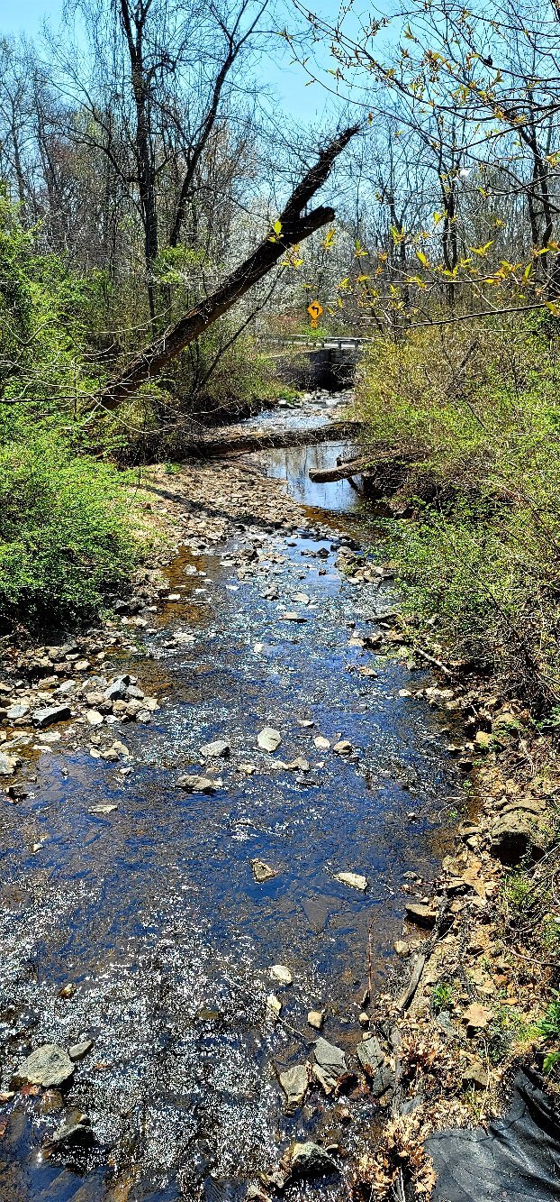 Heavenly Waters Park