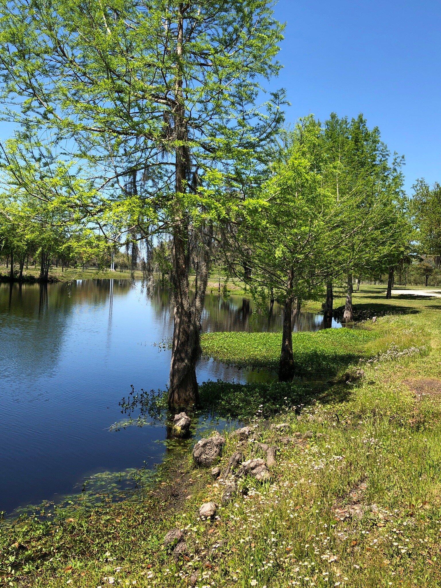 Congaree and Penn