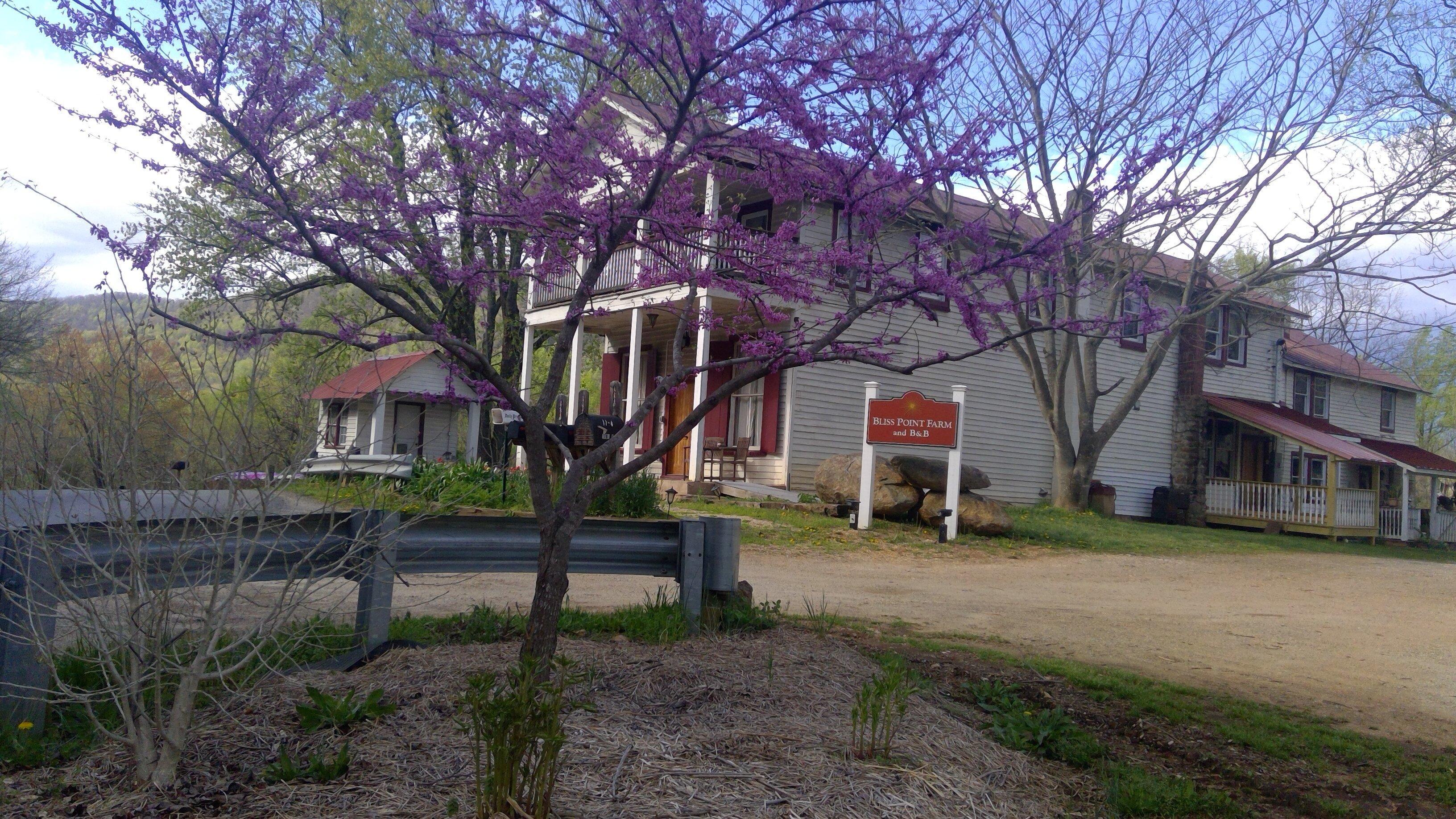 Bliss Point Farm and B&B