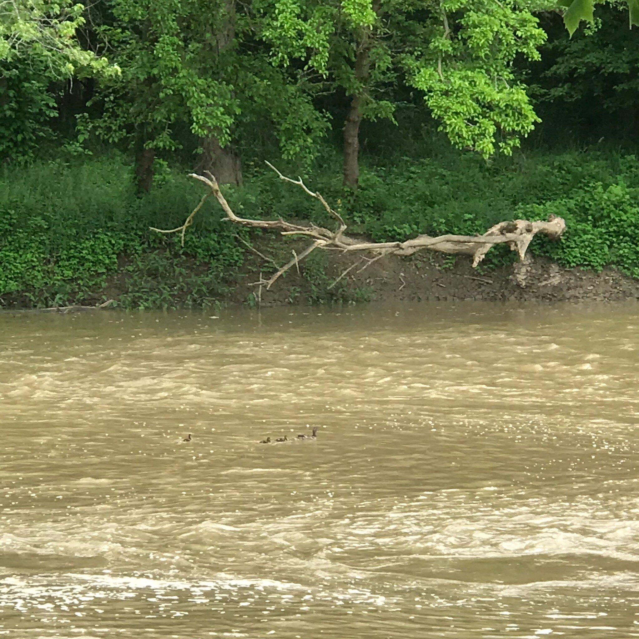 River Greenway