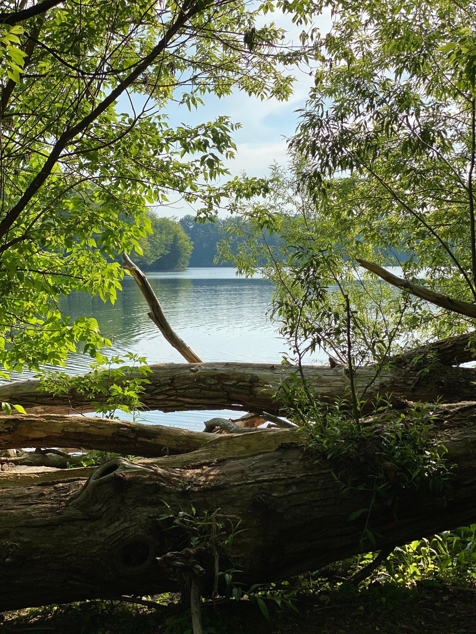 Oak Ridges Corridor Conservation Reserve Trail