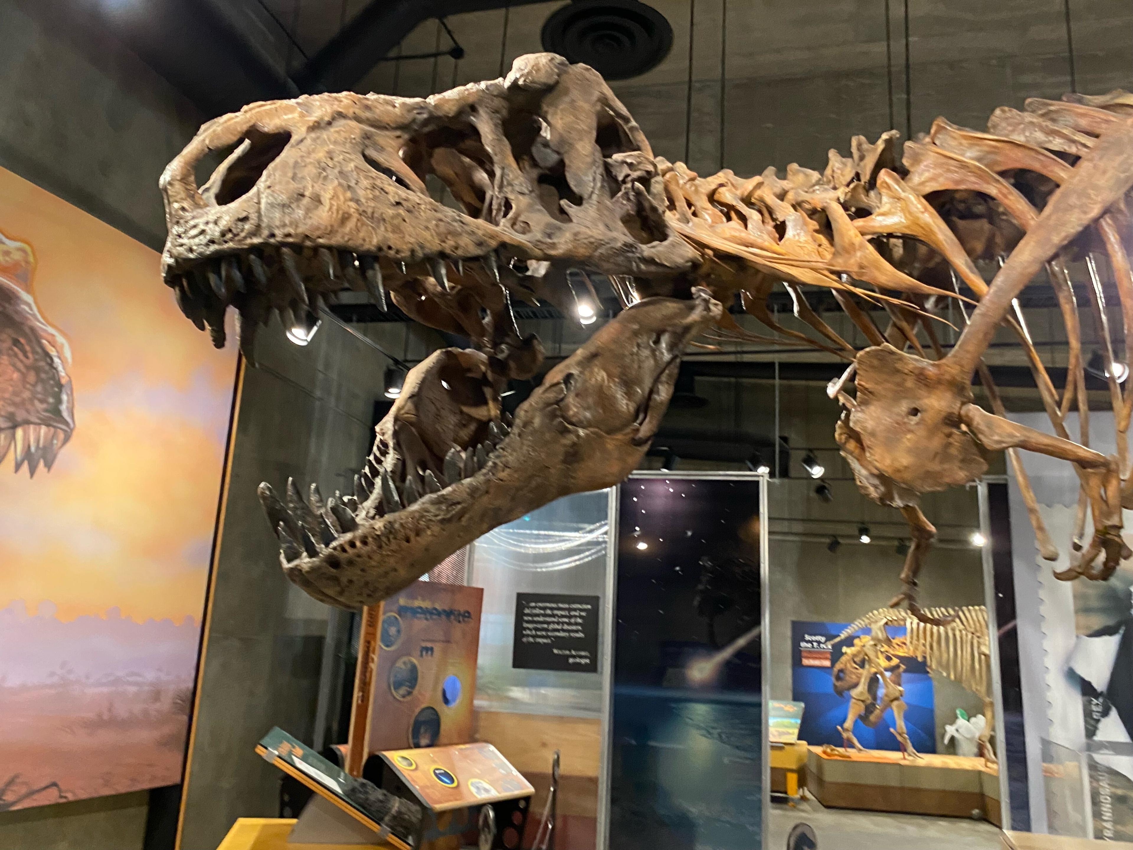 T. rex Discovery Centre