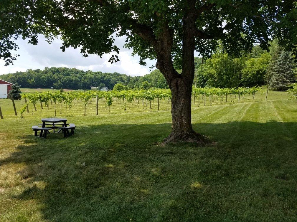 Forestville Winery & Event Center