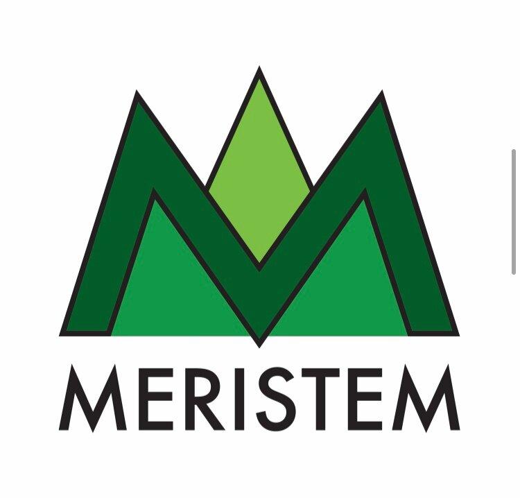 Meristem