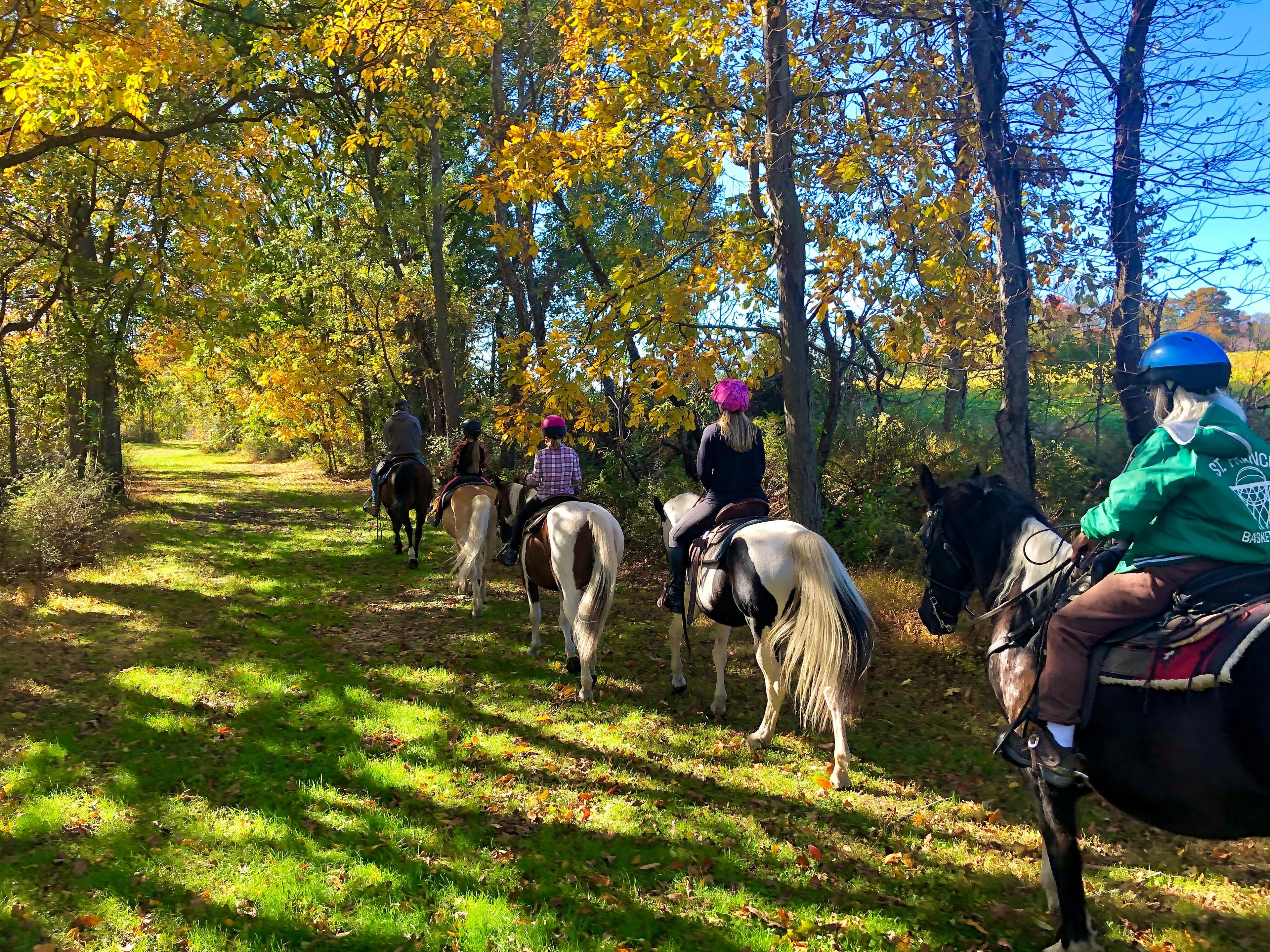 Whispering Springs Horse Farm