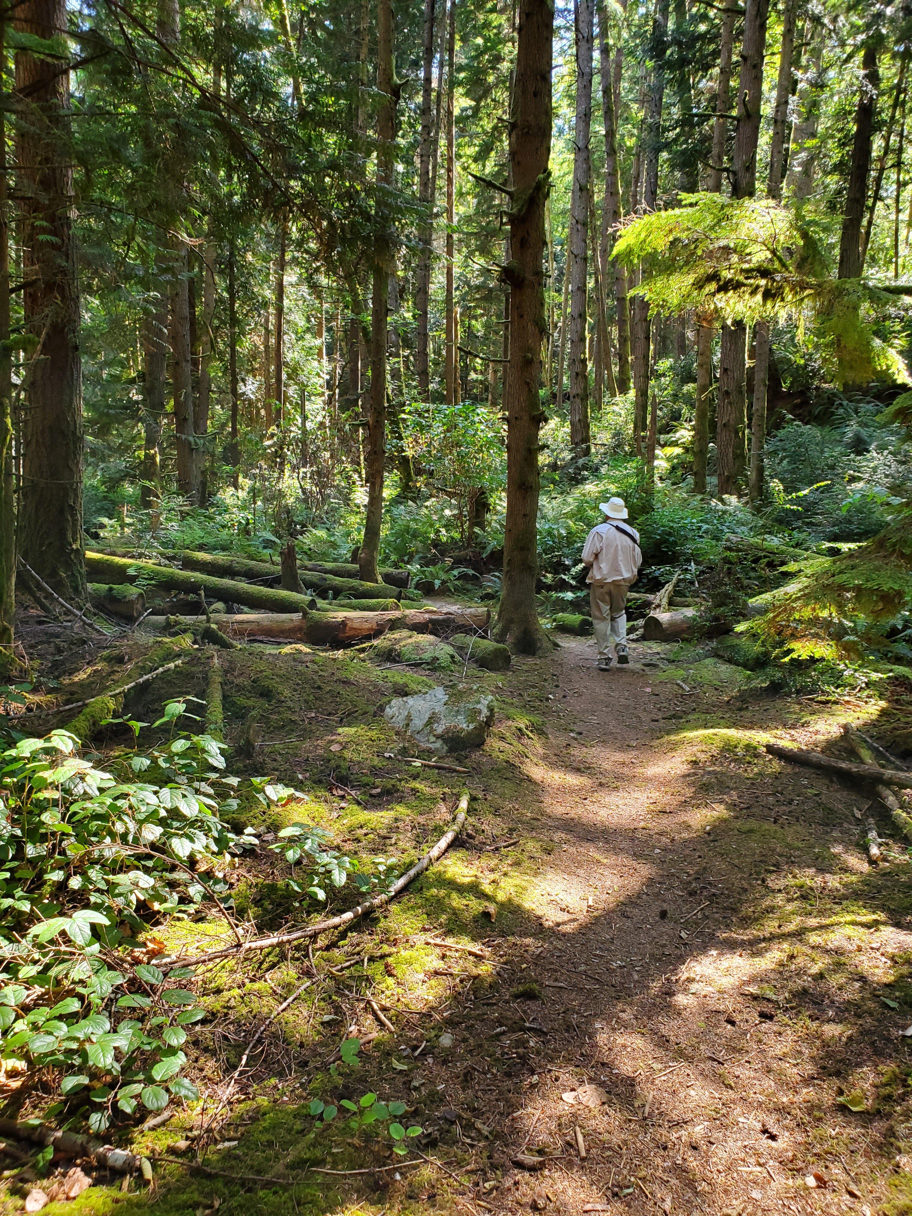 Saratoga Woods Trail