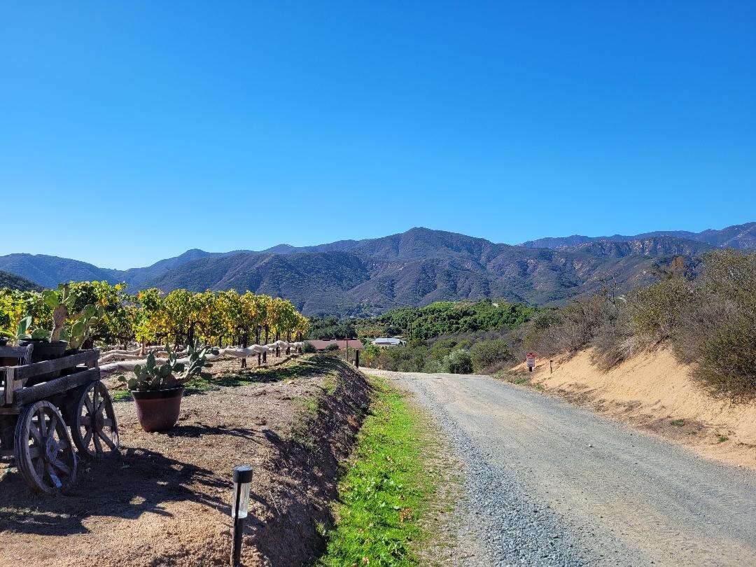 Sblendorio Winery