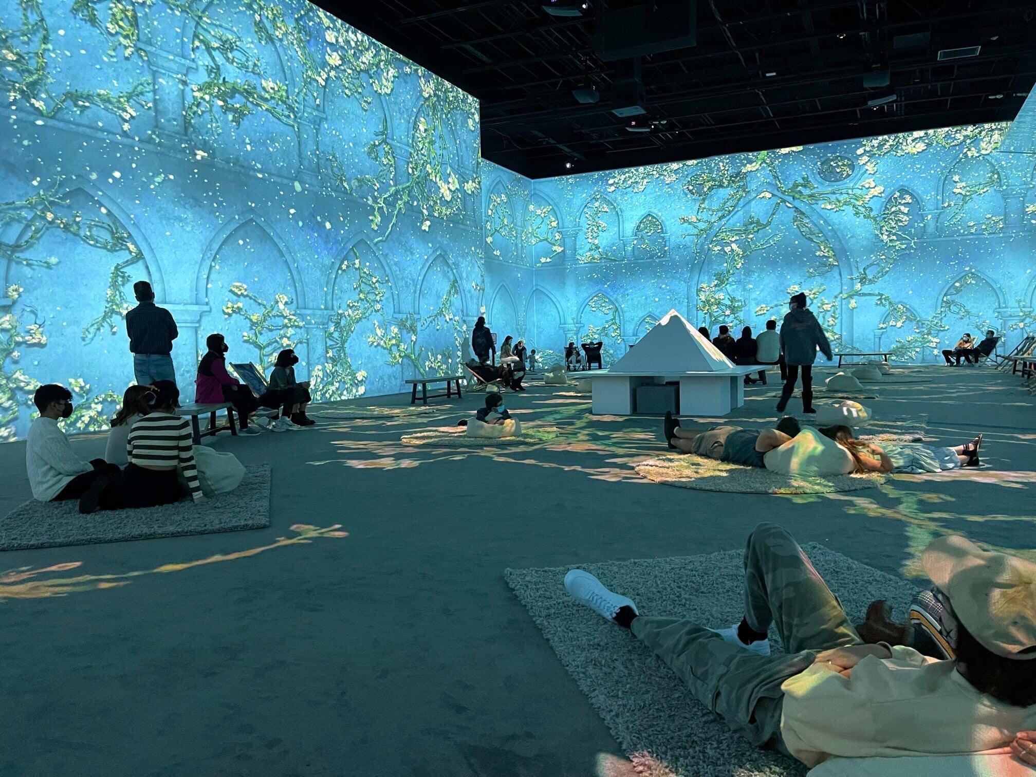 Immersive Van Gogh Exhibit Houston