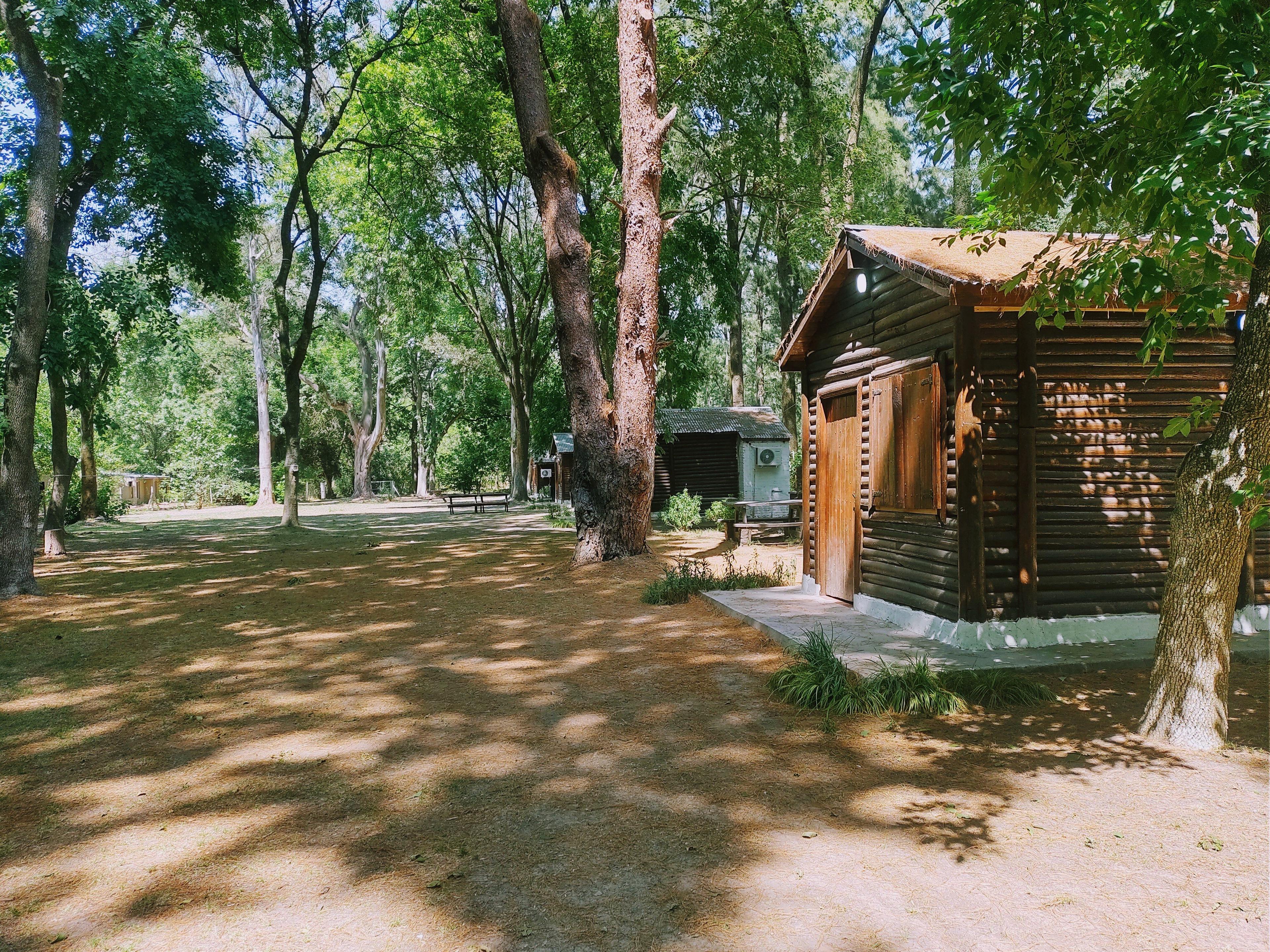 Cabañas Del Bosque