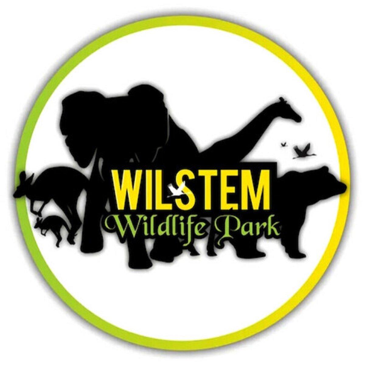 Wilstem