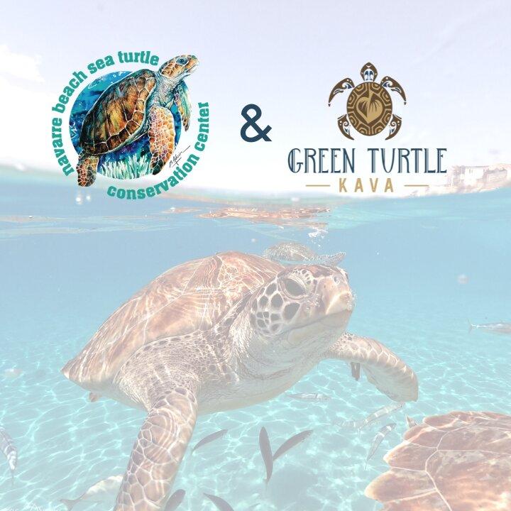 Green Turtle Kava Bar - St. Augustine