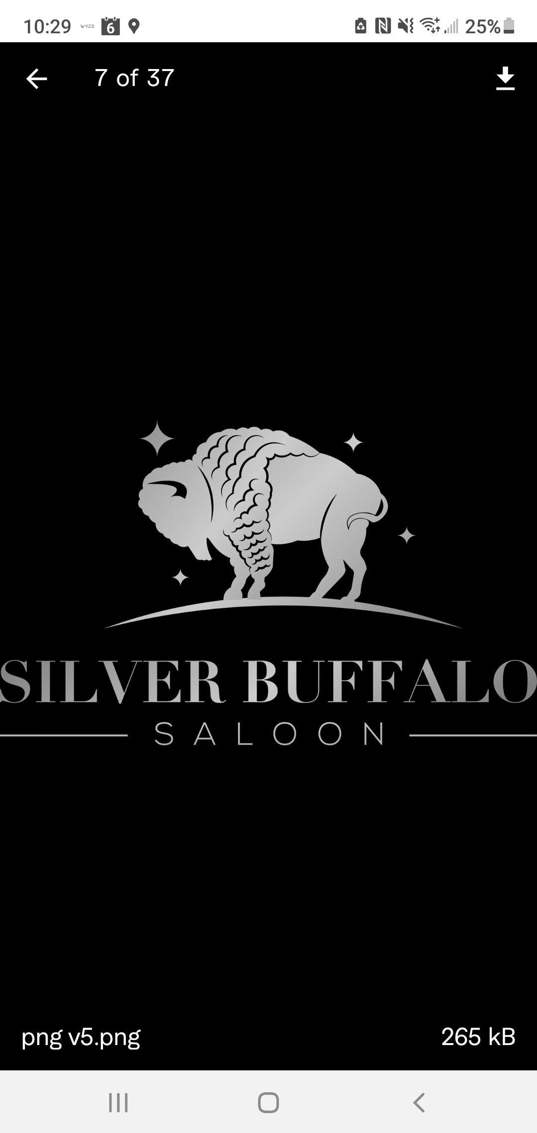 Silver Buffalo Saloon