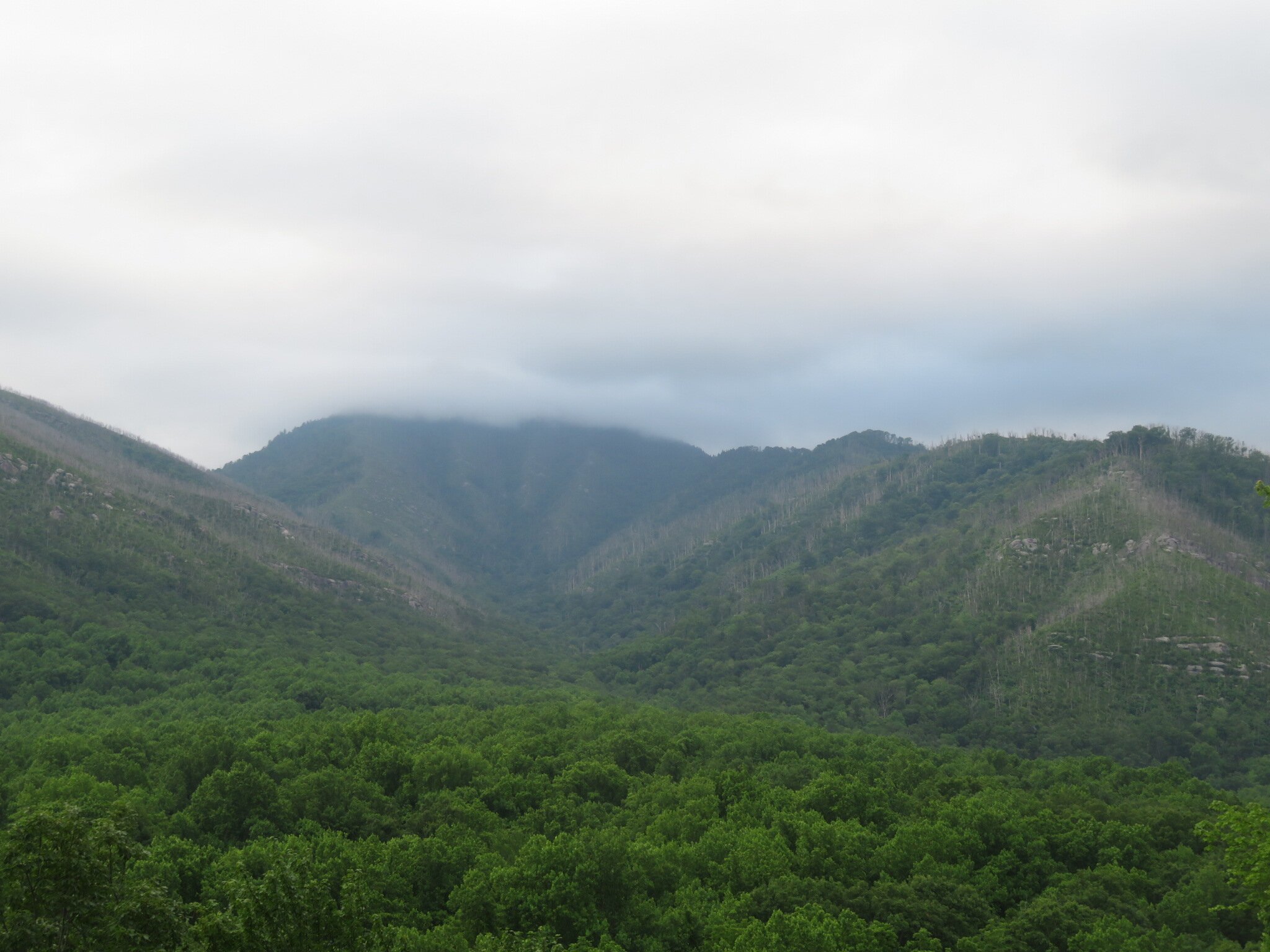 Carlos Campbell Overlook