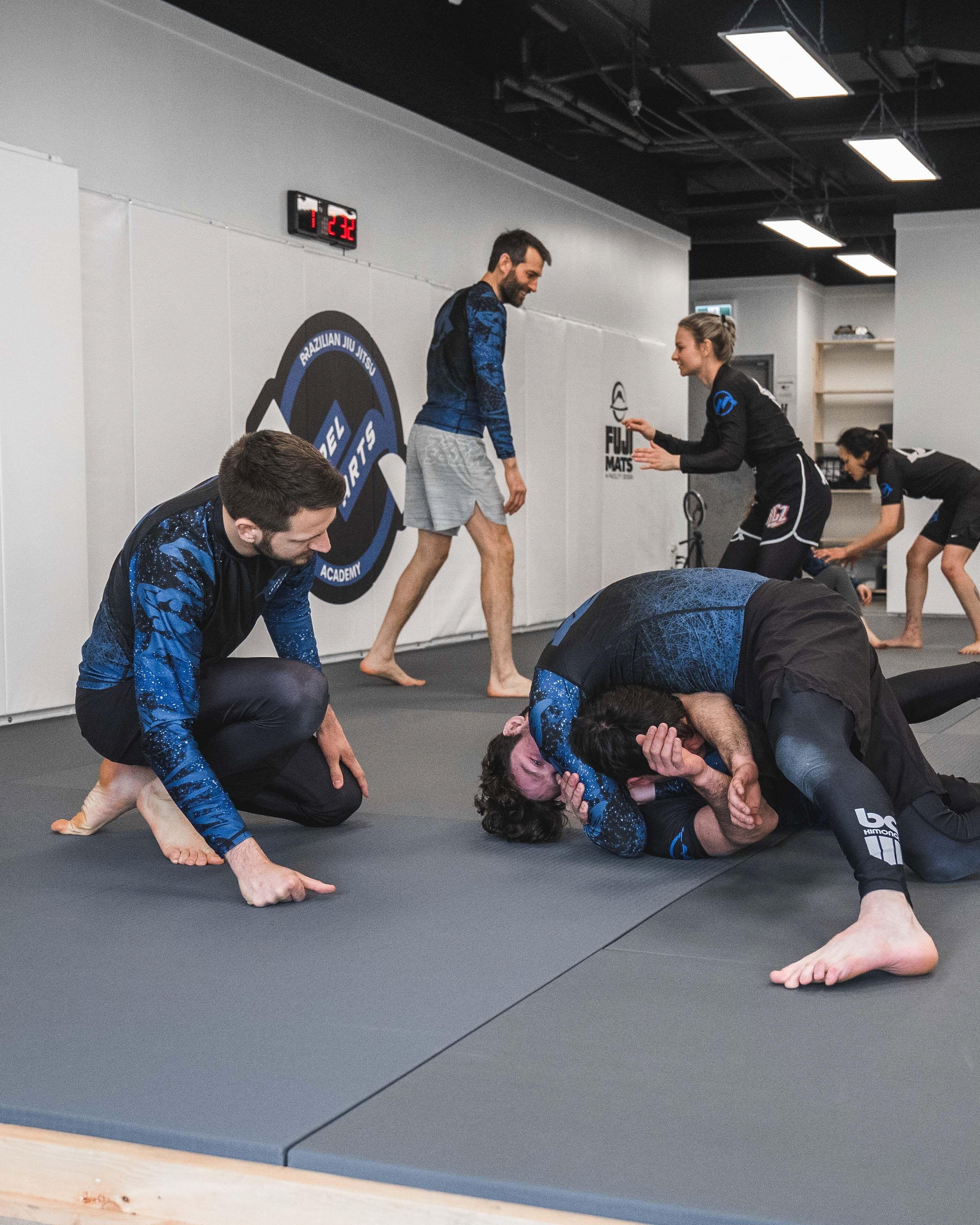 Lapel Arts Jiu Jitsu Academy