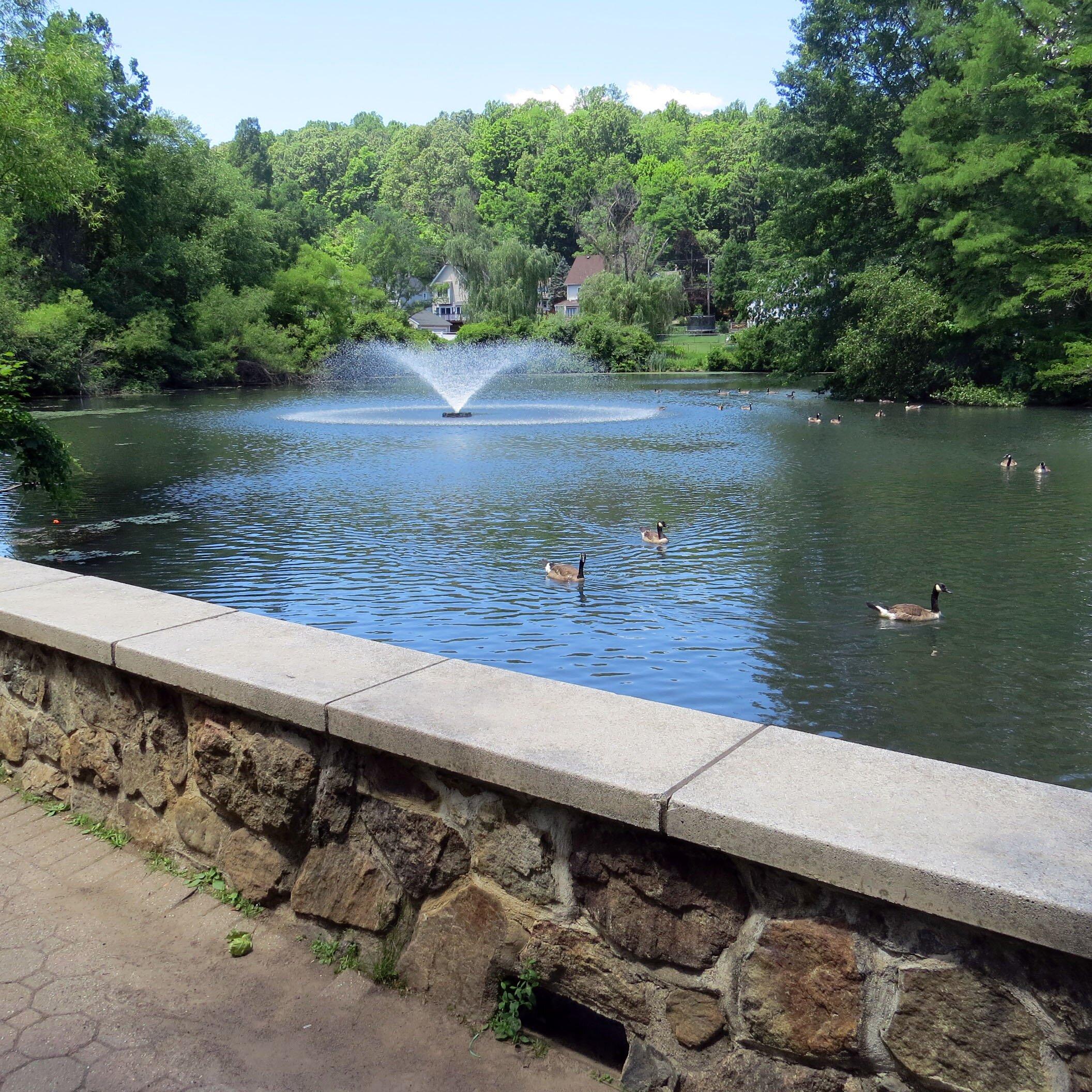 Burnham Park and Pool