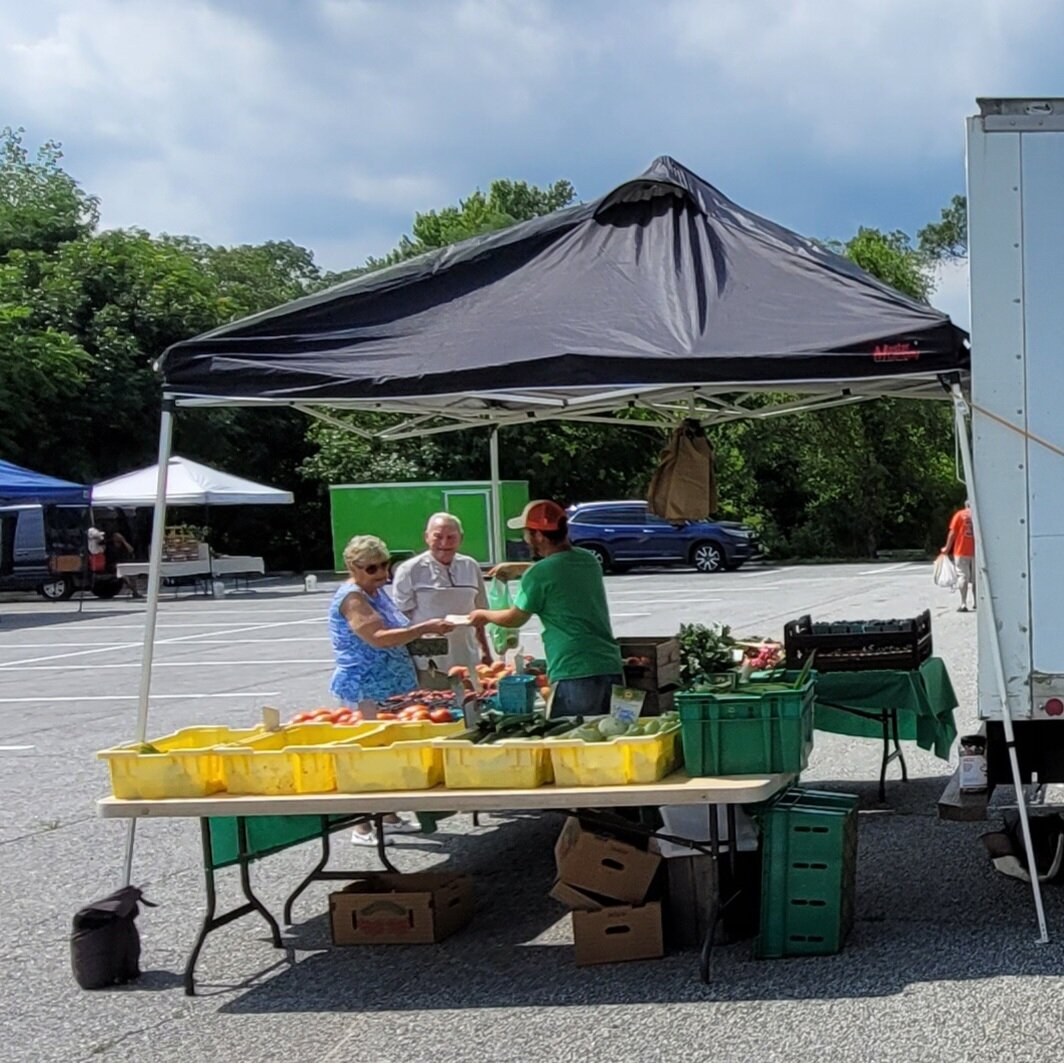 Hills Forest Fruit Farm