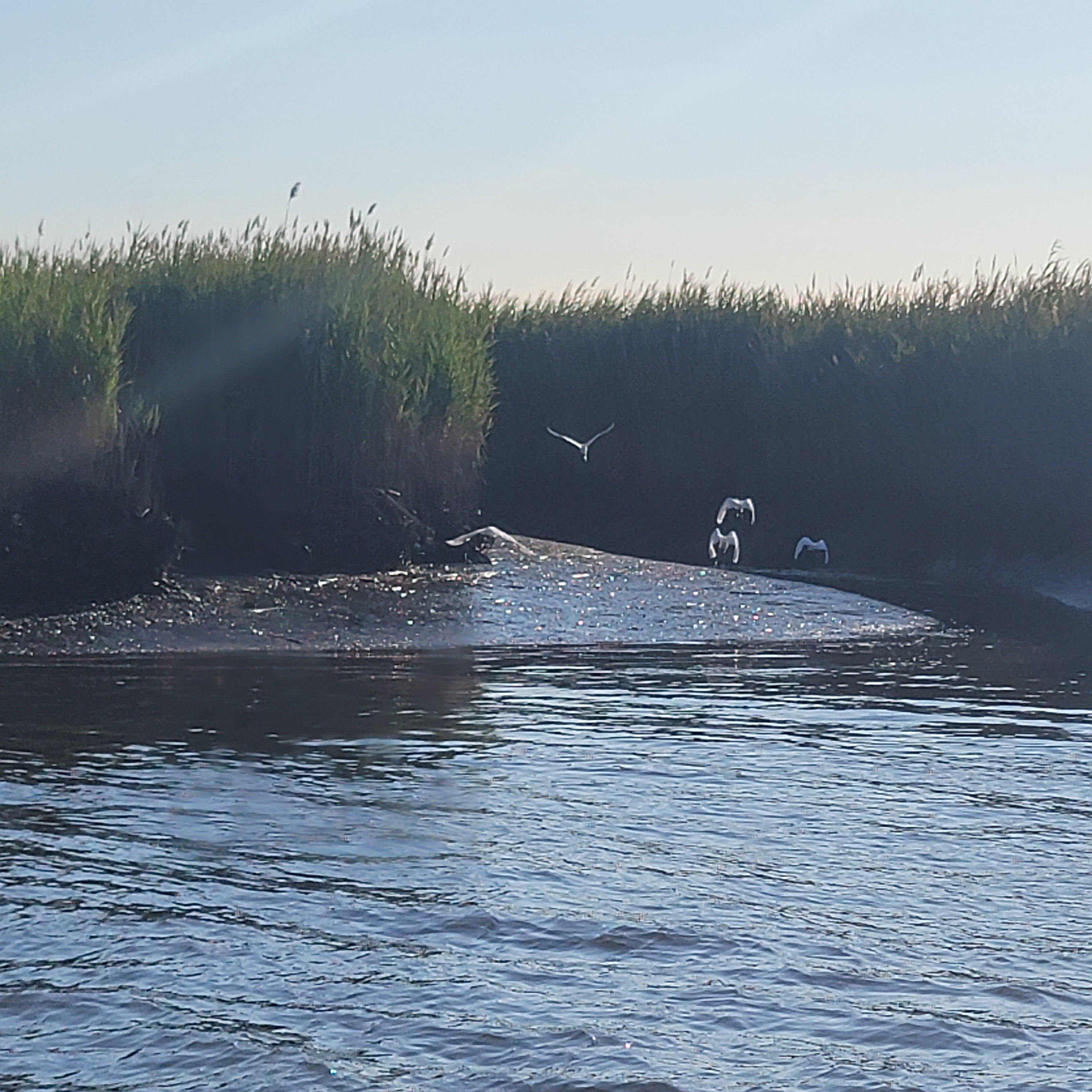 Hackensack River Keeper