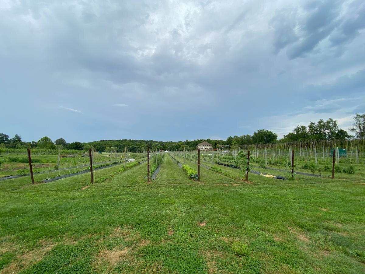 Sprouting Roots Farm