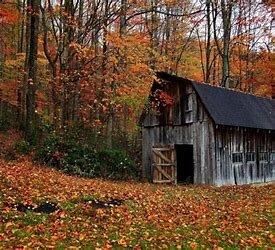 Redden State Forest