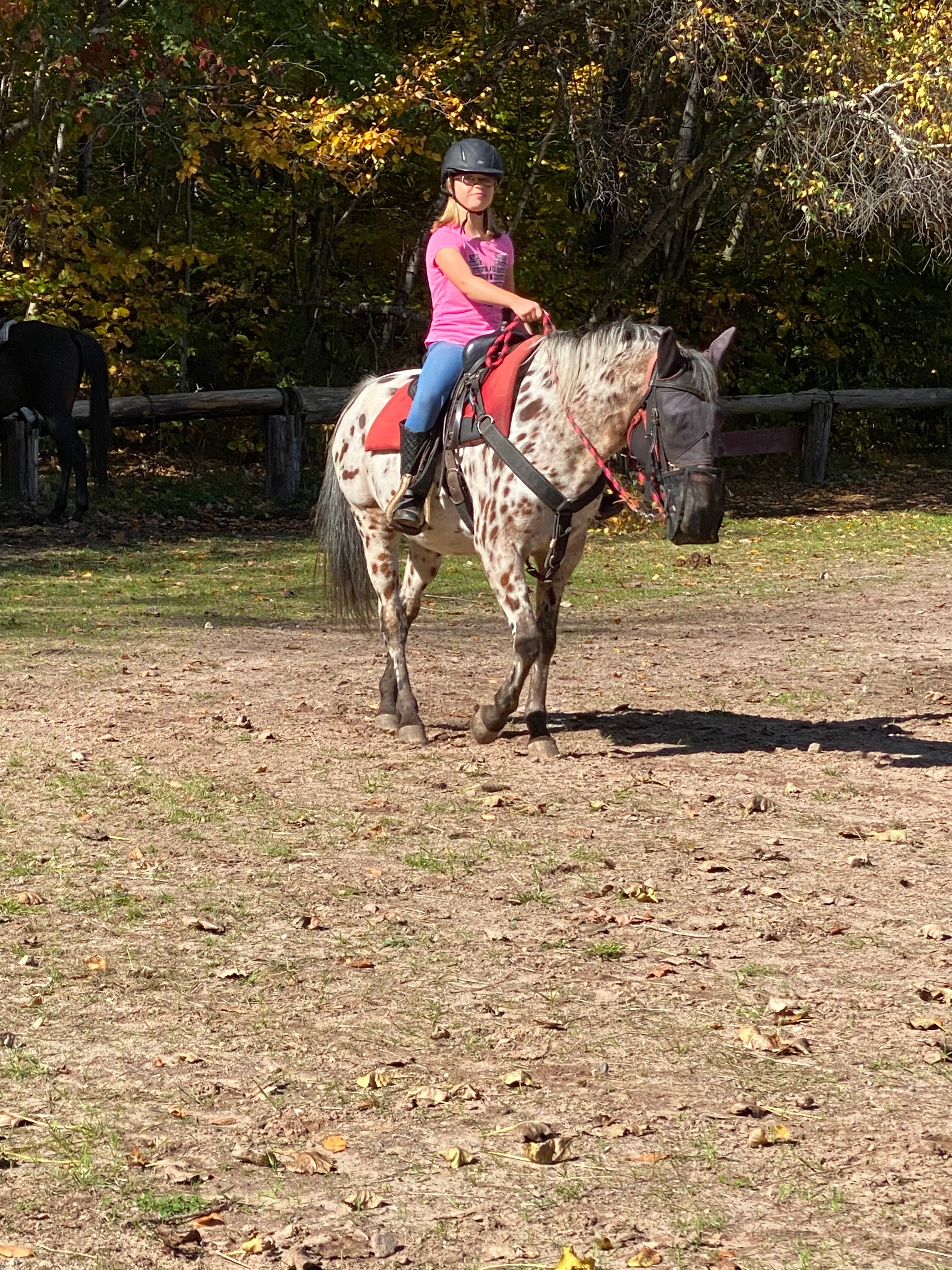 Rollin' Jaxx Stables