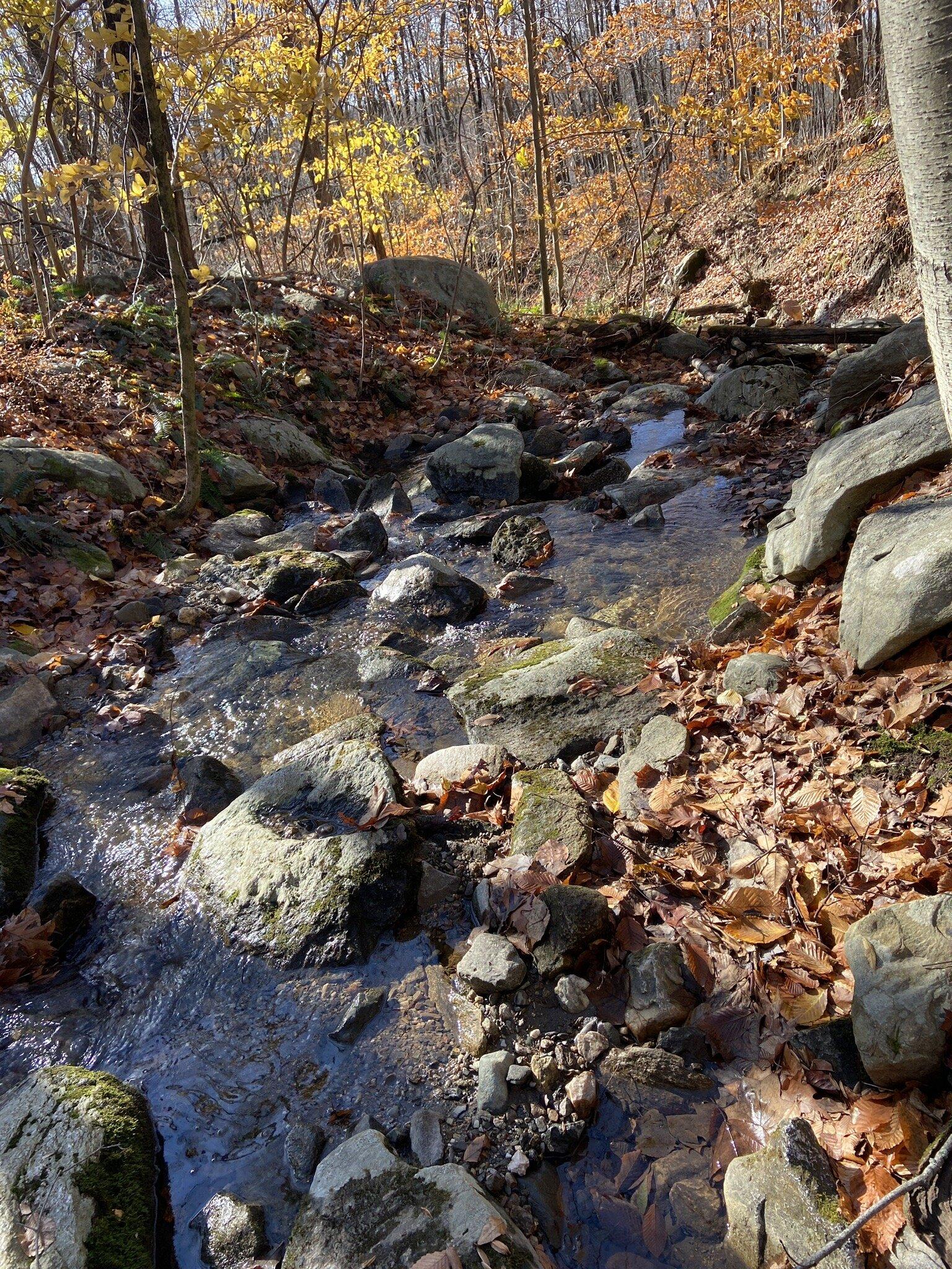 Clarence Fahnestock State Park