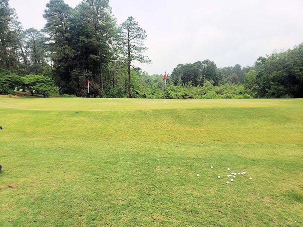 Pinehurst #7