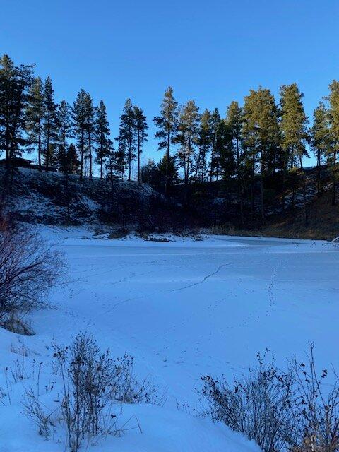 Buffalo Head Park