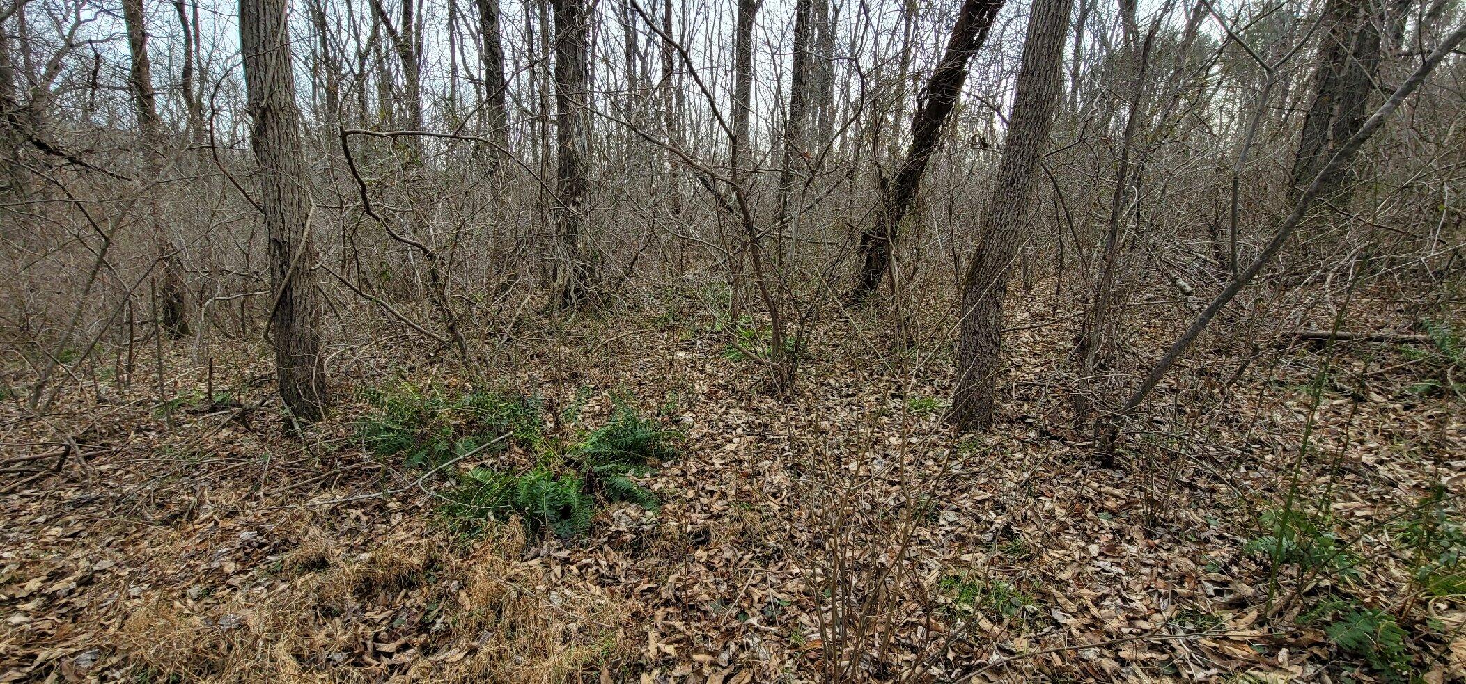 Patuxent River State Park