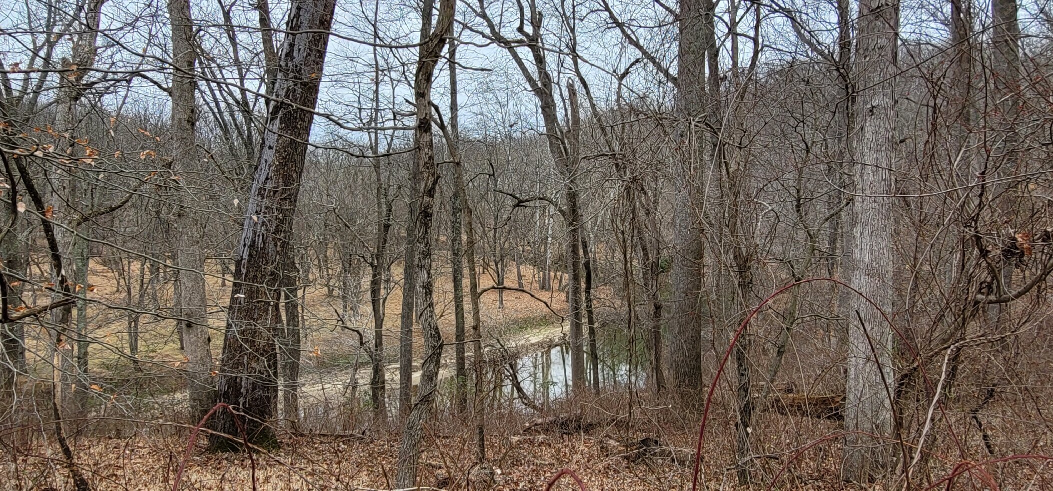 Patapsco Valley State Park McKeldin Area