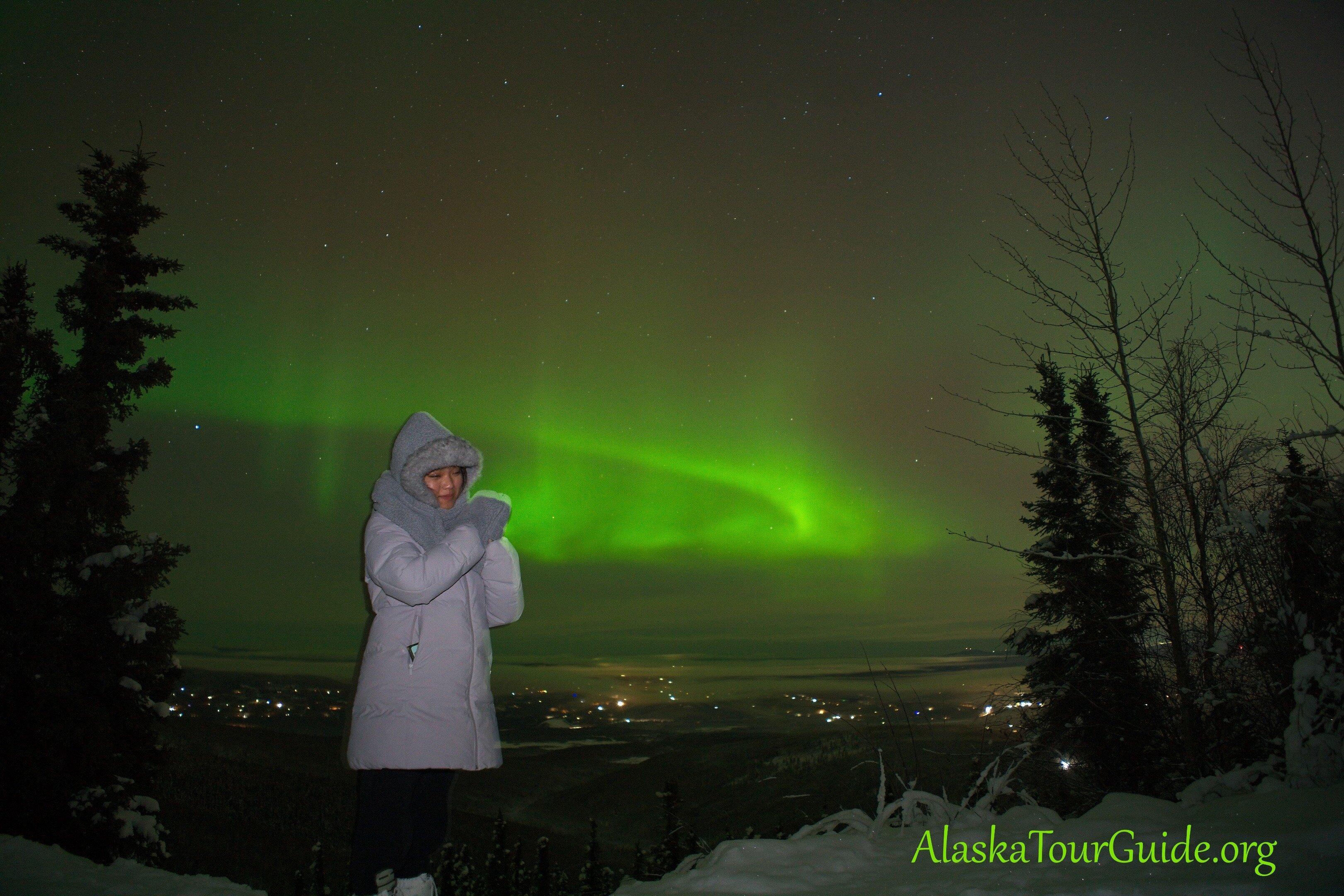 Arctic Night Tours