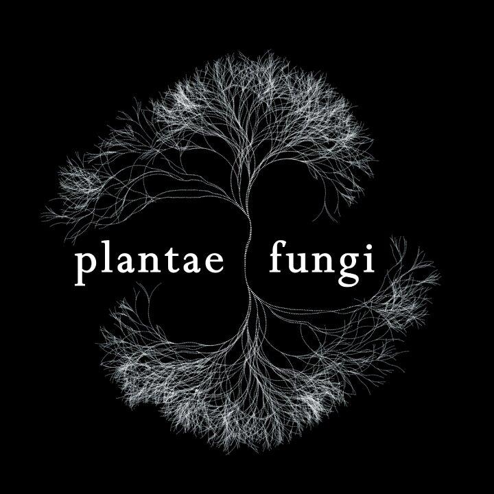 Plantae & Fungi