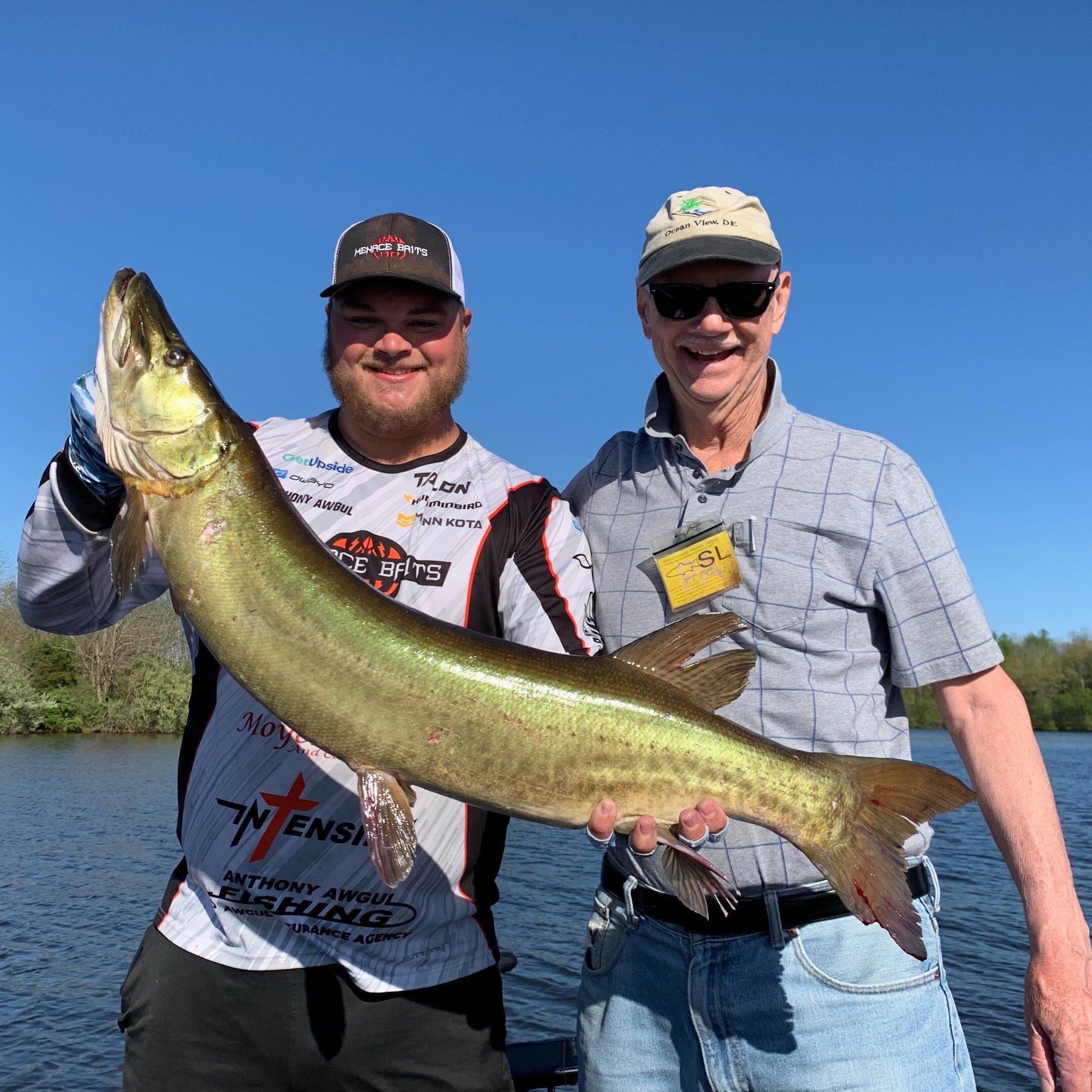 Awgul Fishing Guide Service - Lake Nockamixon Fishing Charters