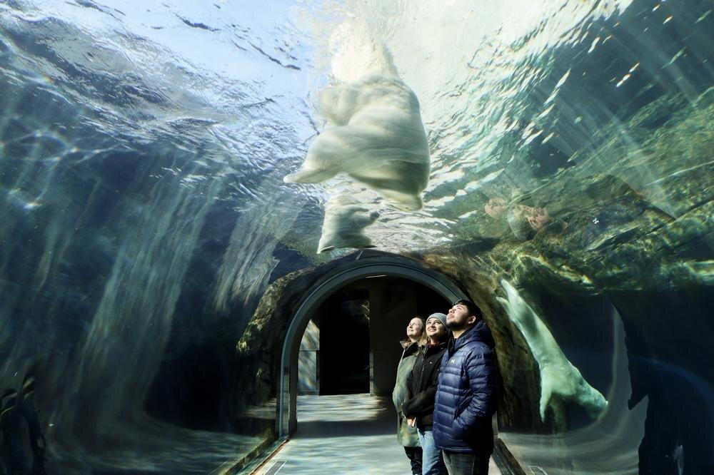 Assiniboine Park Zoo