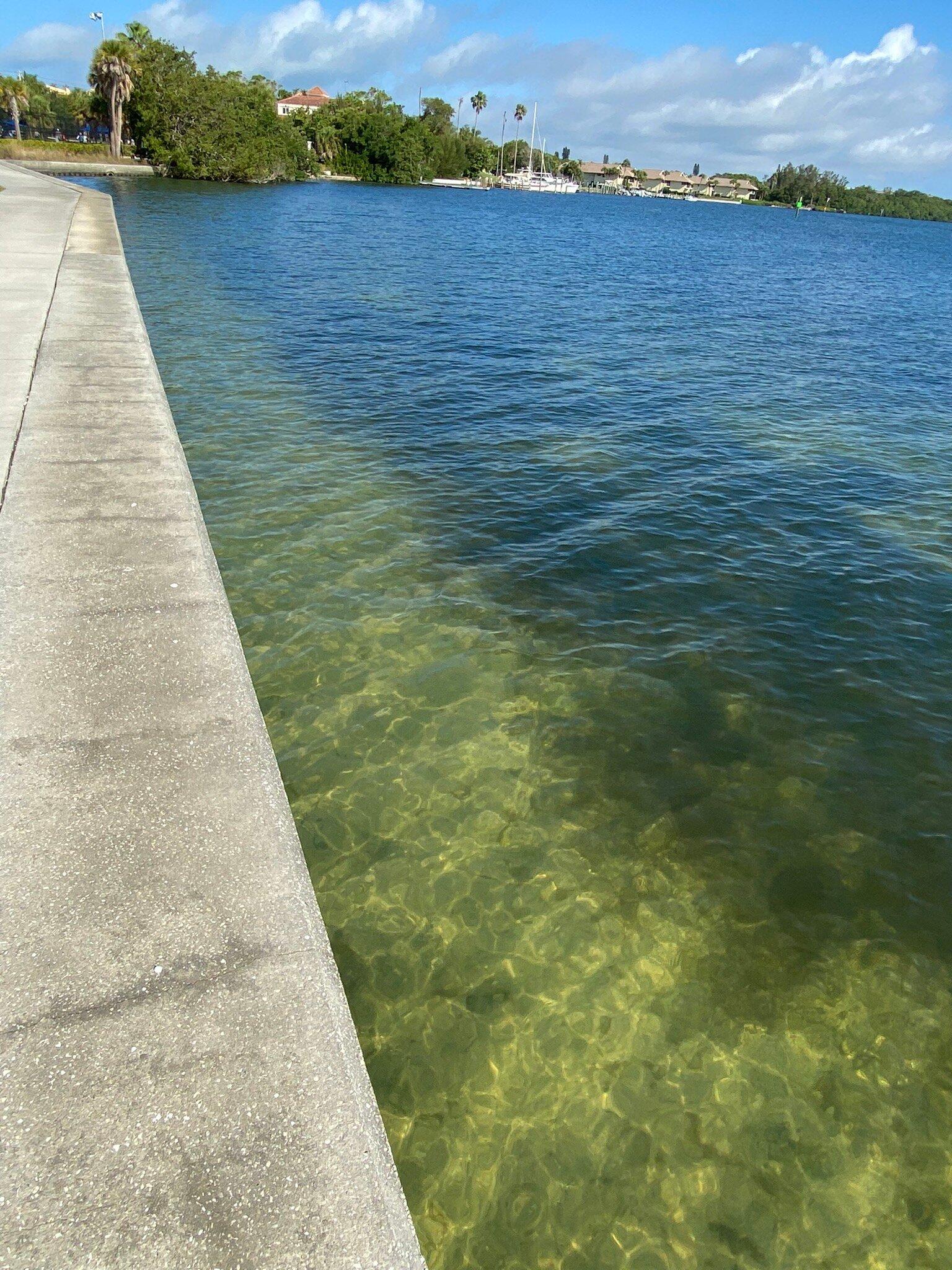 Bayfront Park