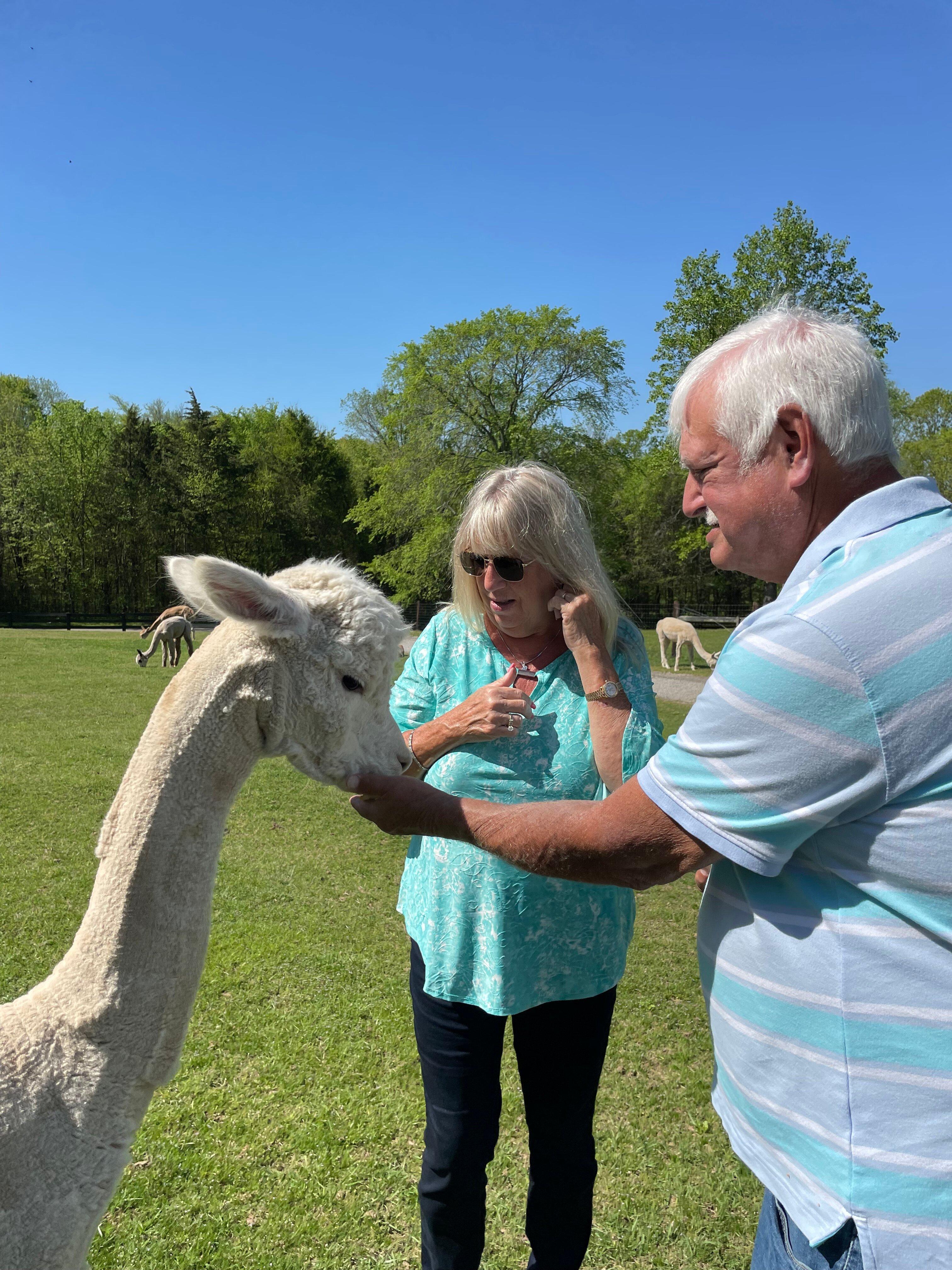 Mistletoe Farm Alpacas