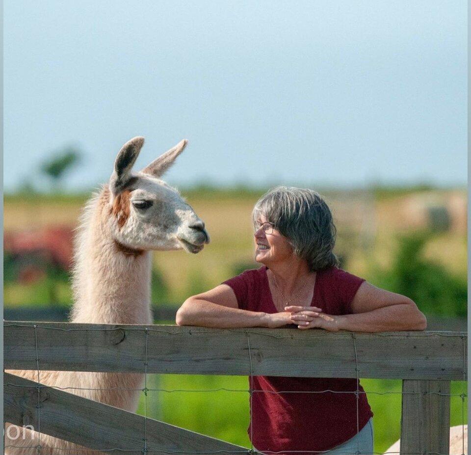 Green Gable Alpacas