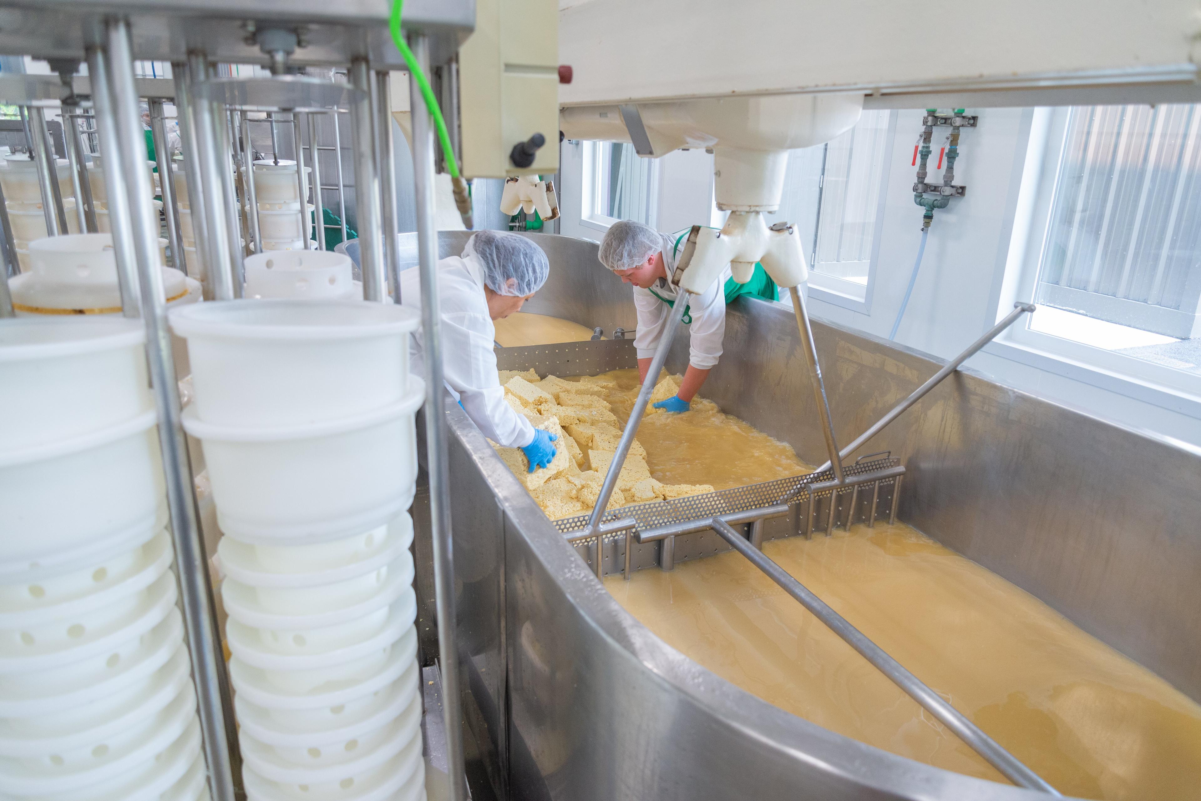 The Cheese Shop at Appel Farms