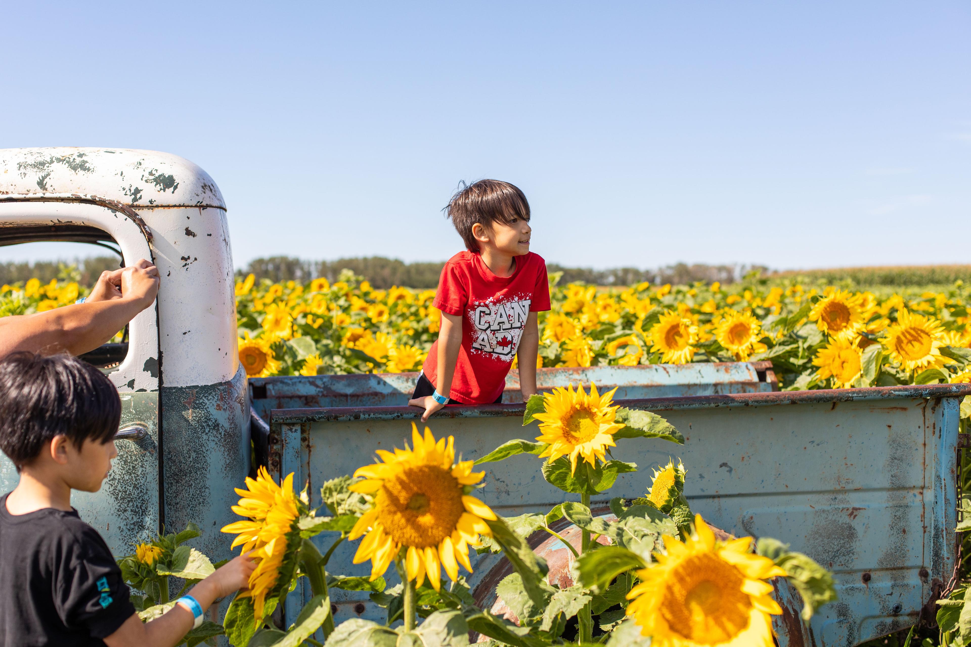 Kraay Family Farm