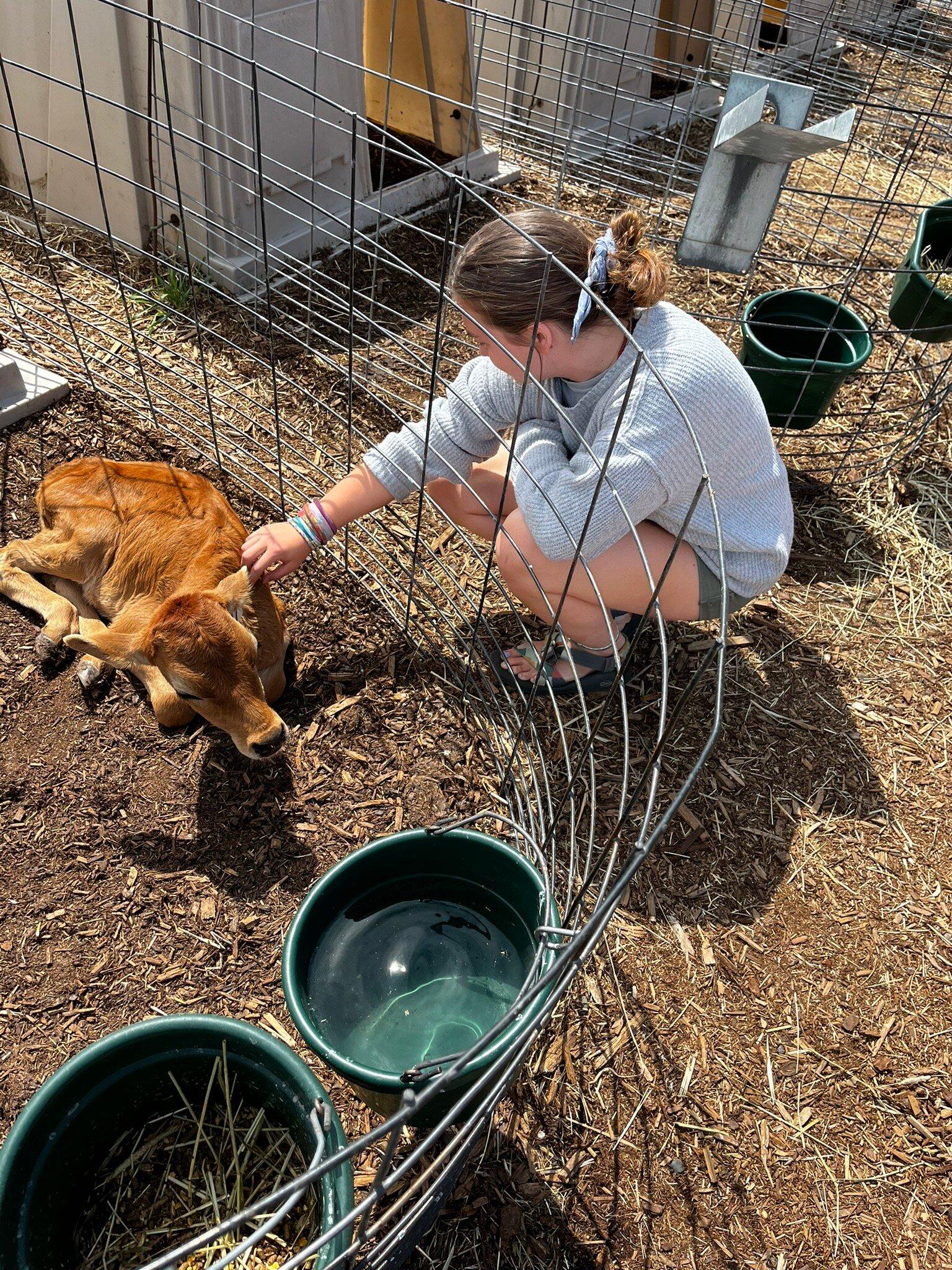 Dungeness Valley Creamery