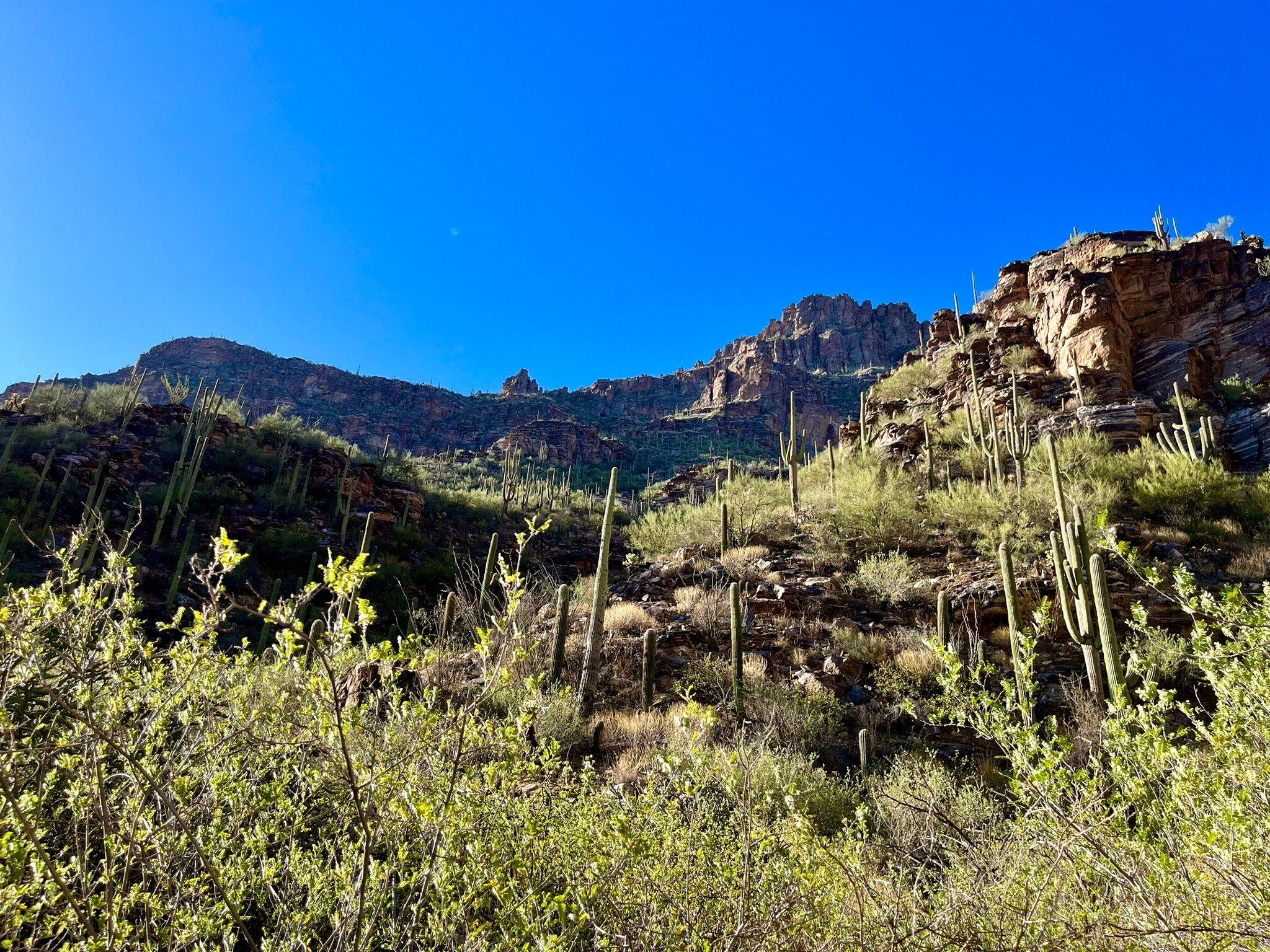 Seven Falls Trail – Sabino Canyon