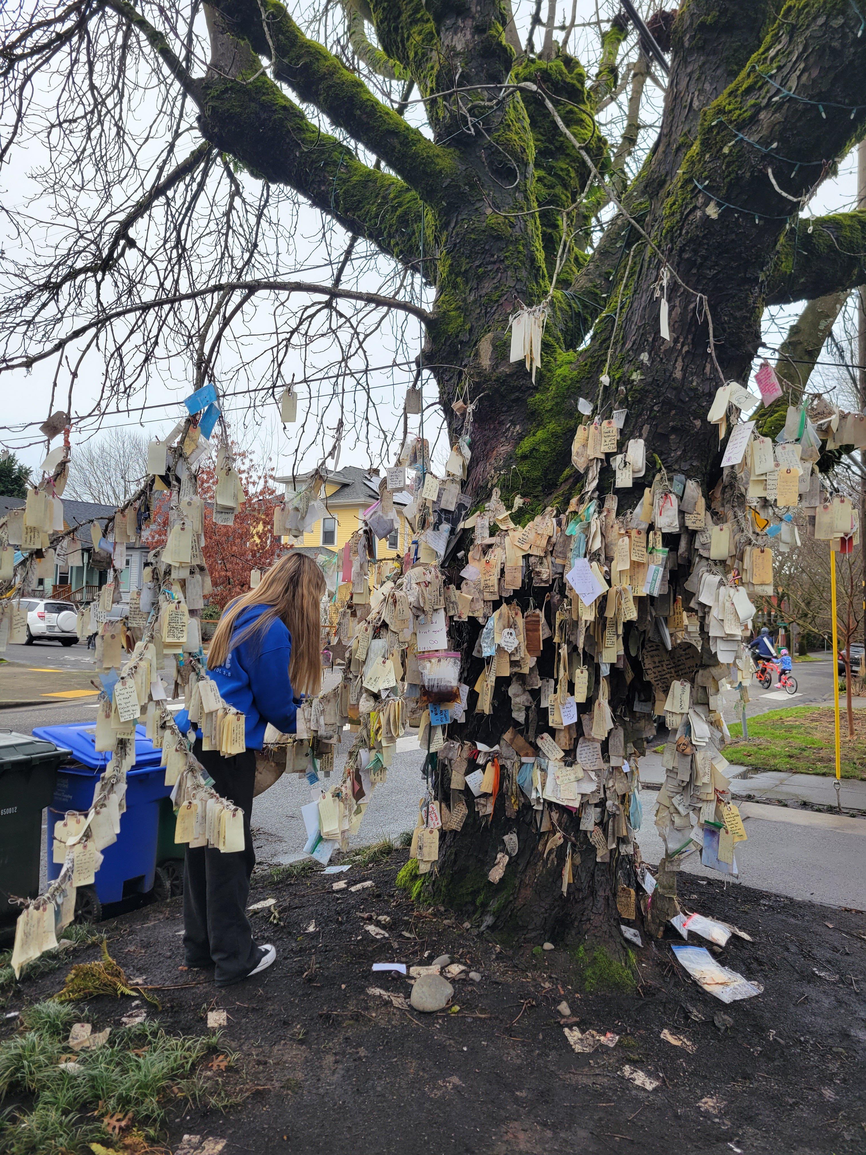 The Wishing Tree