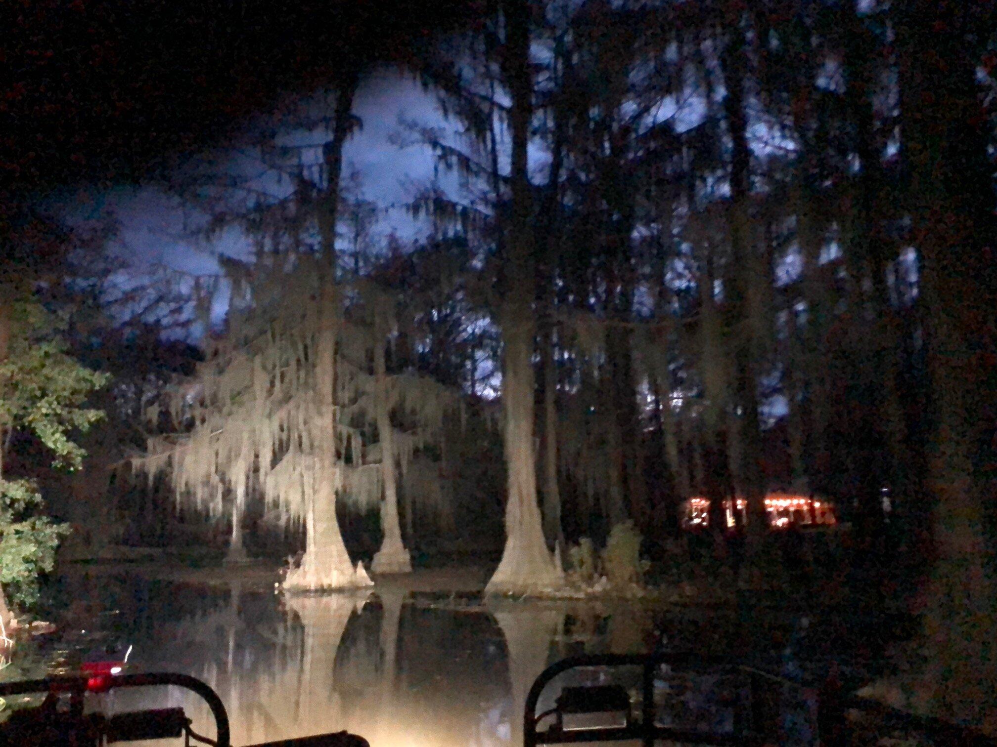 Mossy Brake Camp Caddo Lake Swamp Tours