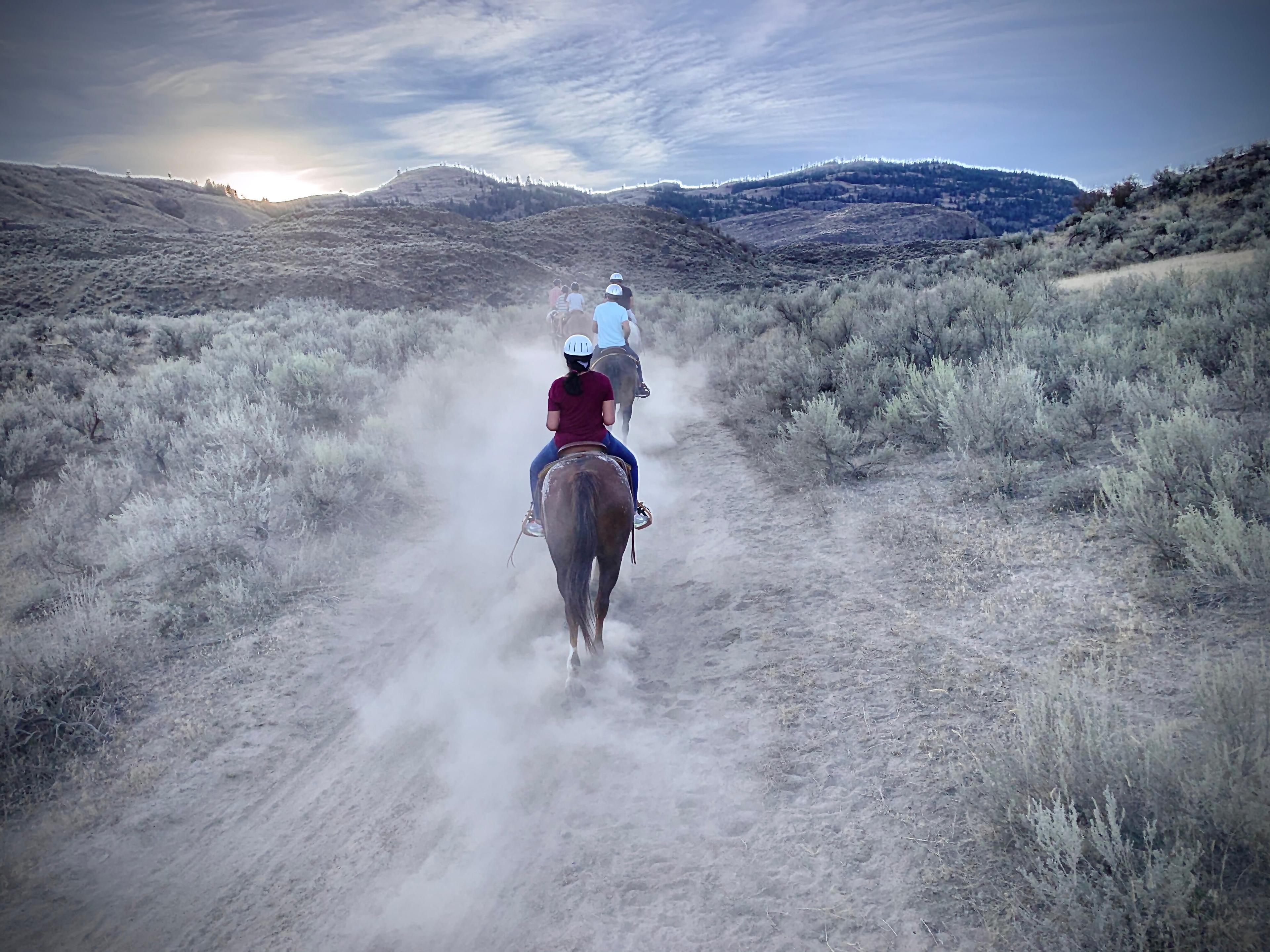 Sun Hills Riding Centre