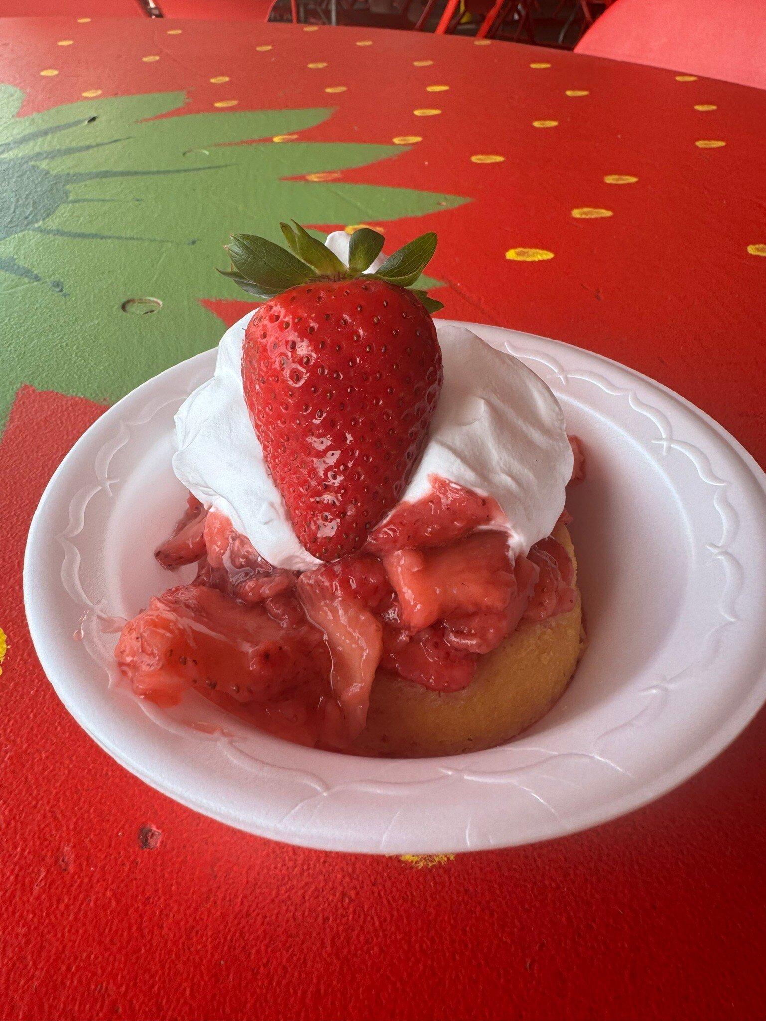 Florida Strawberry Festival