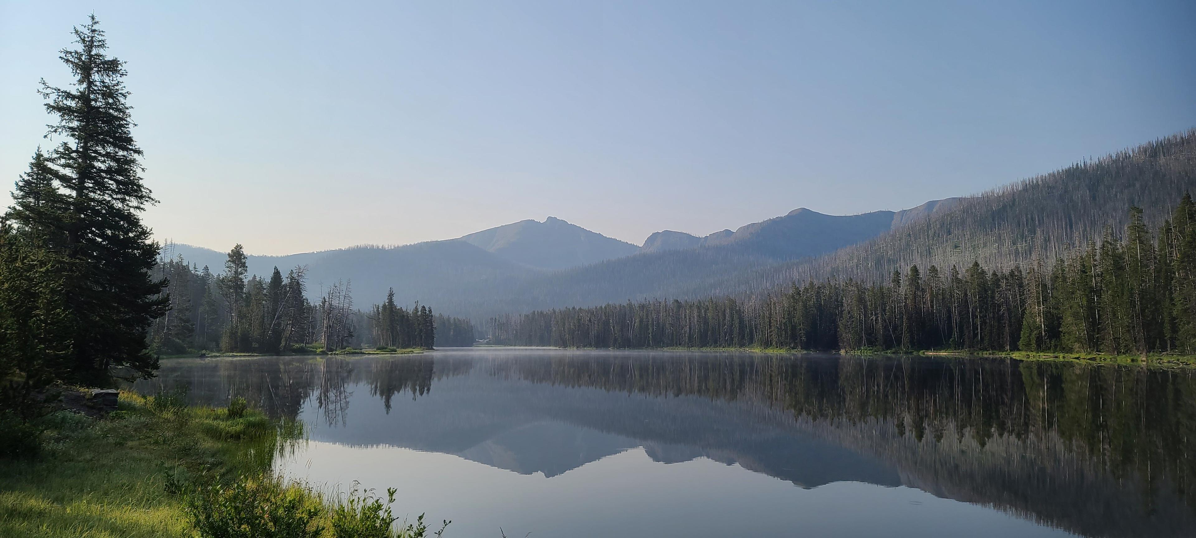 Montana Yellowstone