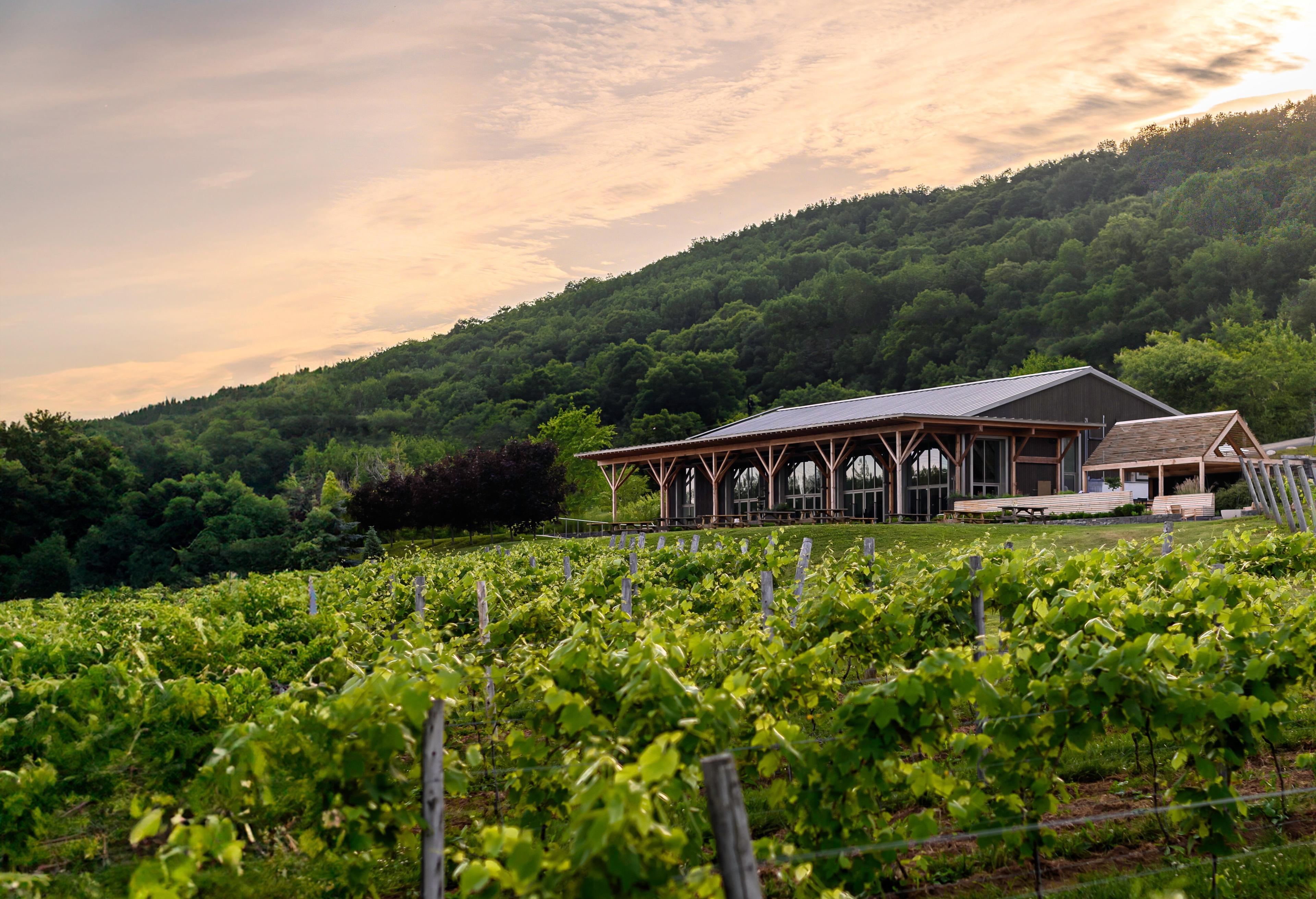 Benjamin Bridge Vineyards