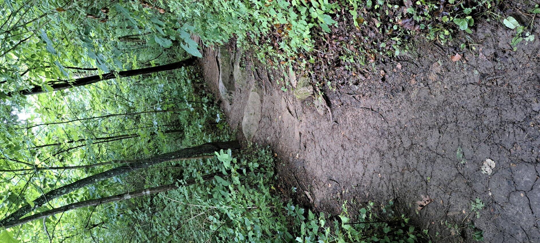 Leonard Springs Nature Park