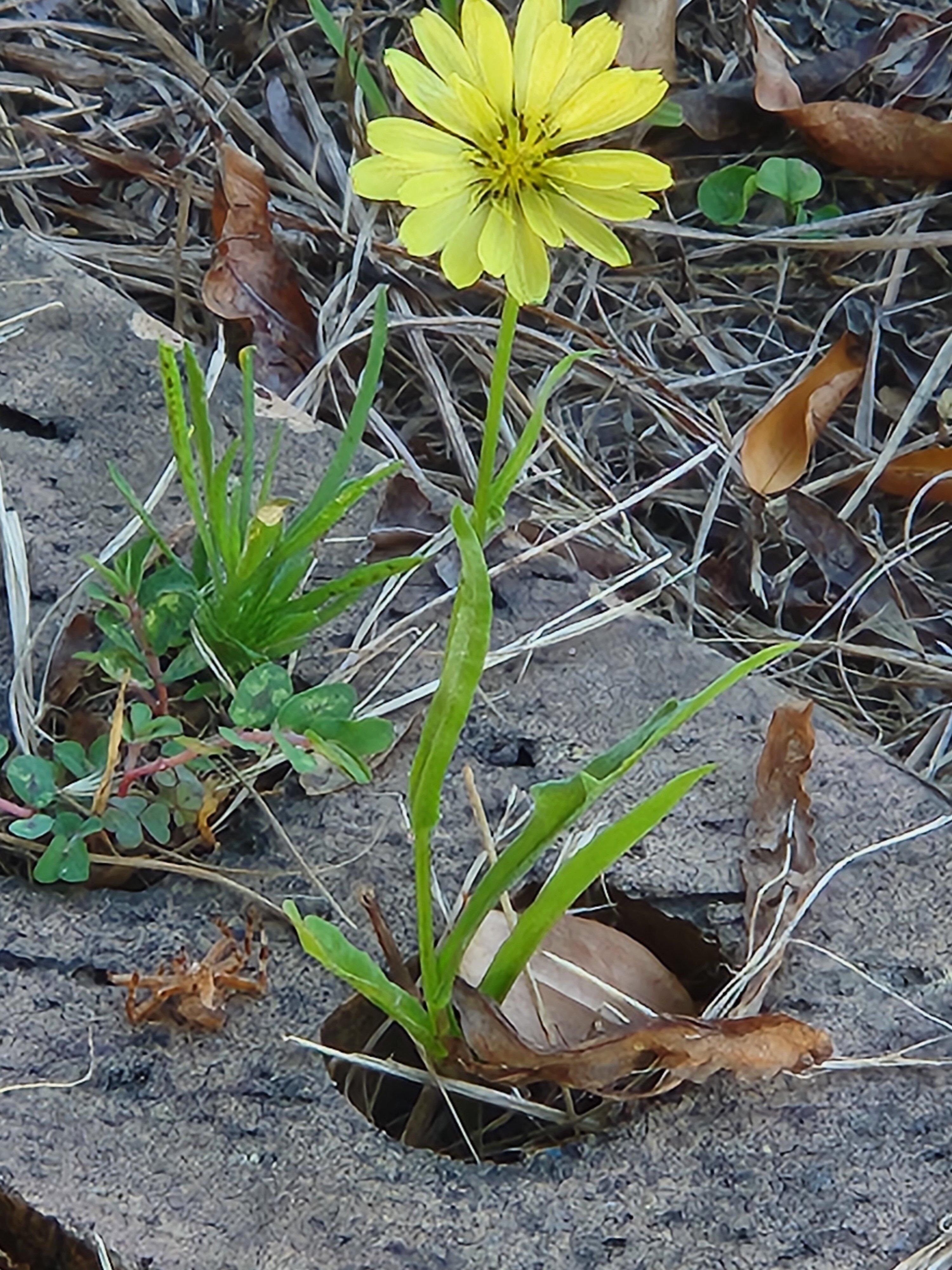 Hope Springs Rv Campground